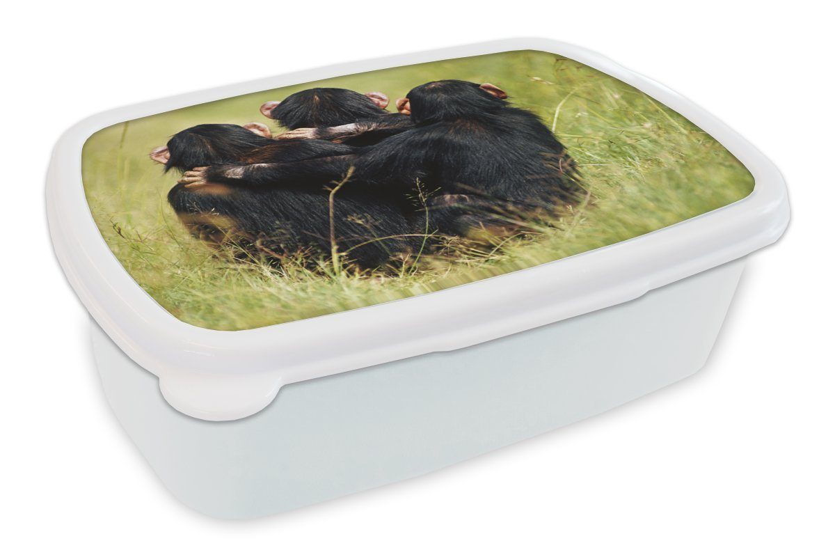 MuchoWow Lunchbox Affe - Gras - Tiere, Kunststoff, (2-tlg), Brotbox für Kinder und Erwachsene, Brotdose, für Jungs und Mädchen weiß