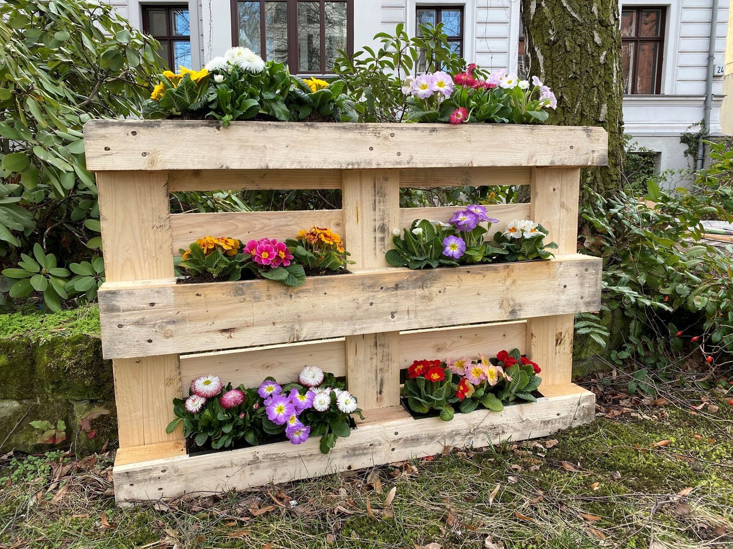 BURI Blumenkasten Blumenkasten Europaletten 10er-Set Dunkelgrün Pflanzkasten Balkon