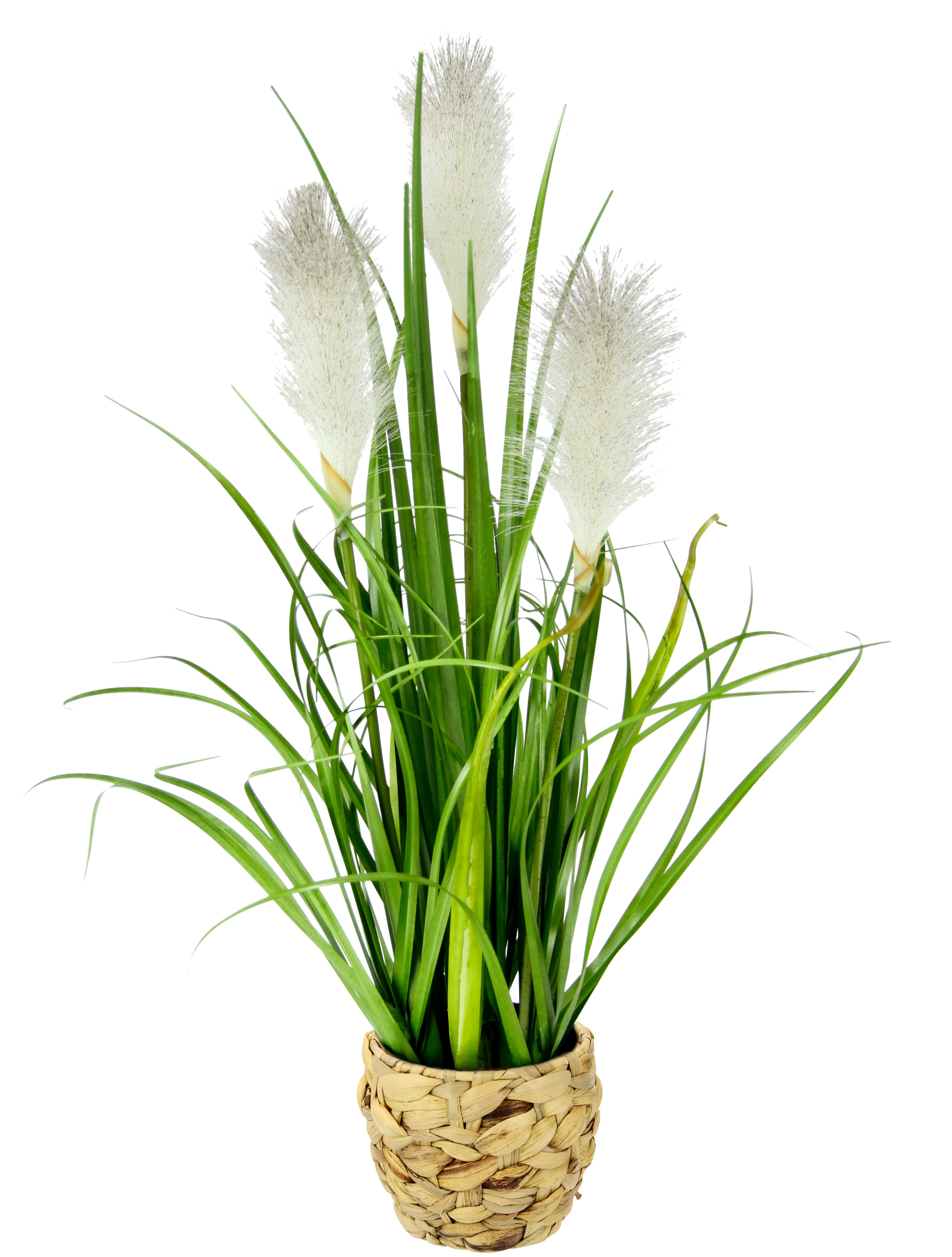 Kunstpflanze Pampasgras, I.GE.A., Höhe 55 cm, Mit Übertopf, künstliches Pam günstig online kaufen