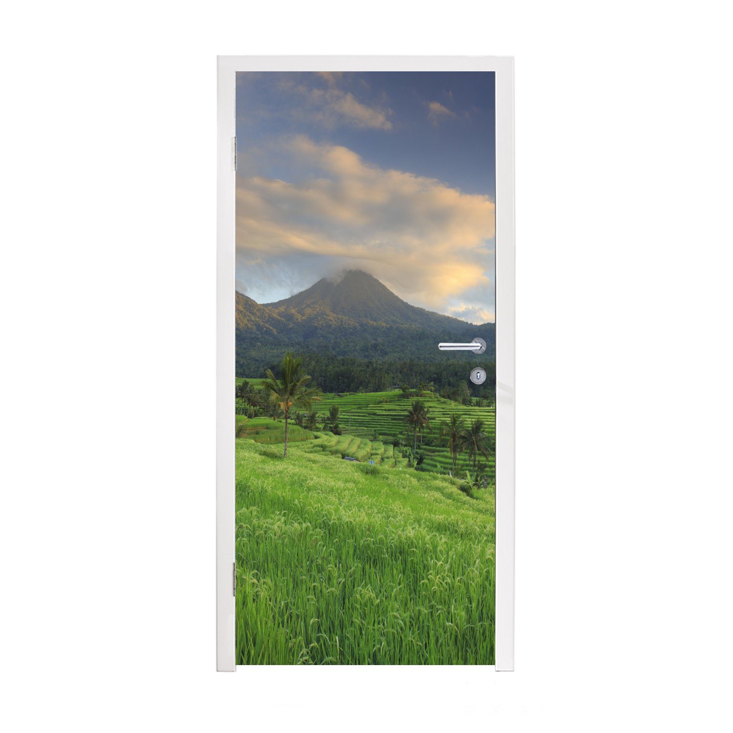 Reisfelder MuchoWow Bali, Matt, 75x205 Tür, St), Fototapete Türaufkleber, bedruckt, (1 cm Türtapete auf für