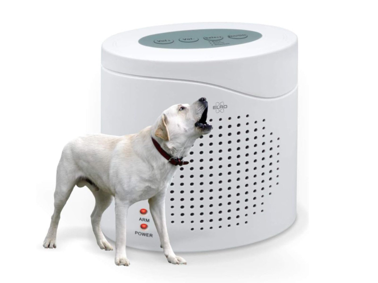 Elro Erfassung per Radar über Bewegung Alarmanlage (Elektronischer Wachhund, Haussicherheit, Sirenenattrappe per Radar)