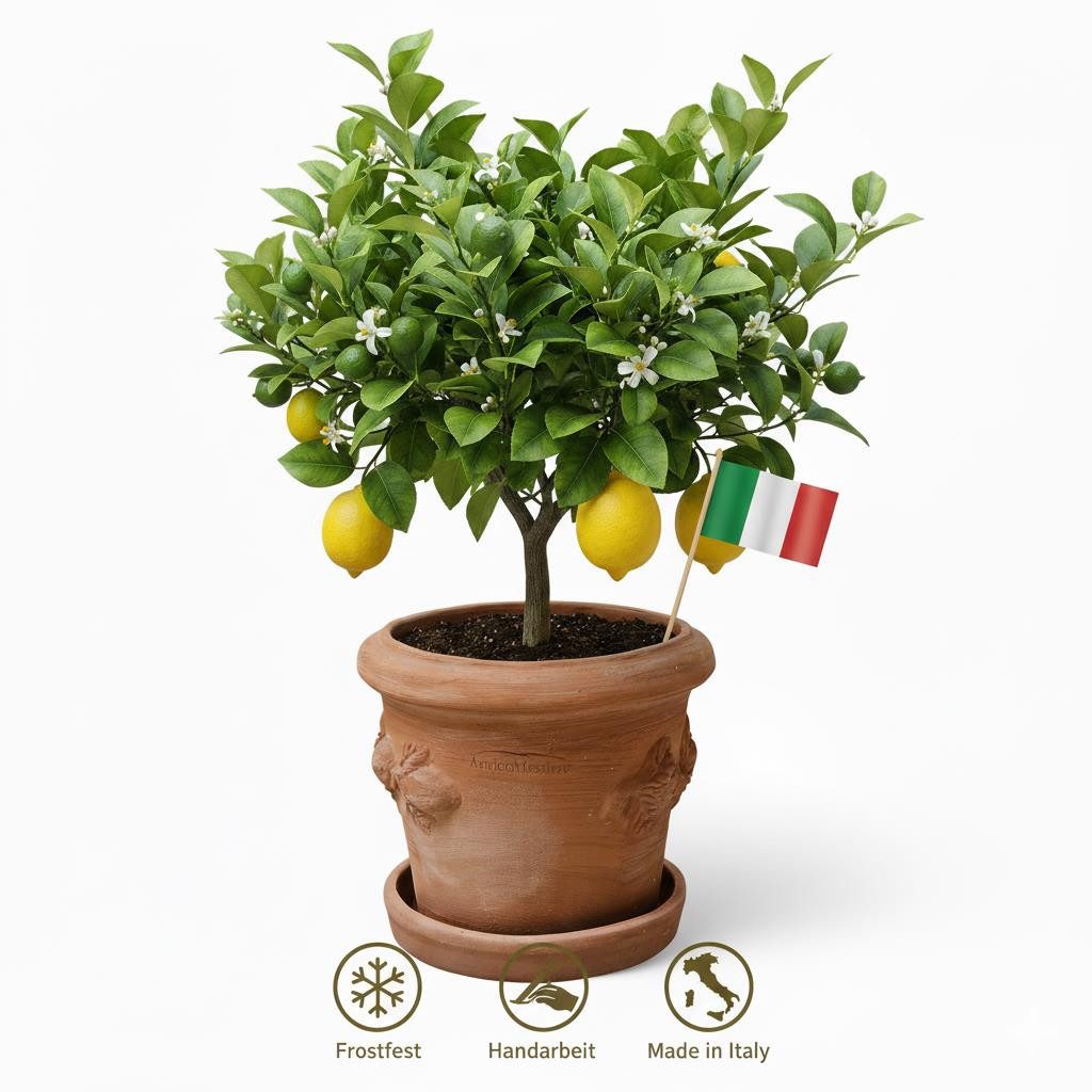 Teramico Pflanzkübel Terrakotta Blumenkübel Limoni Toscana 25, 100% Frostfe günstig online kaufen
