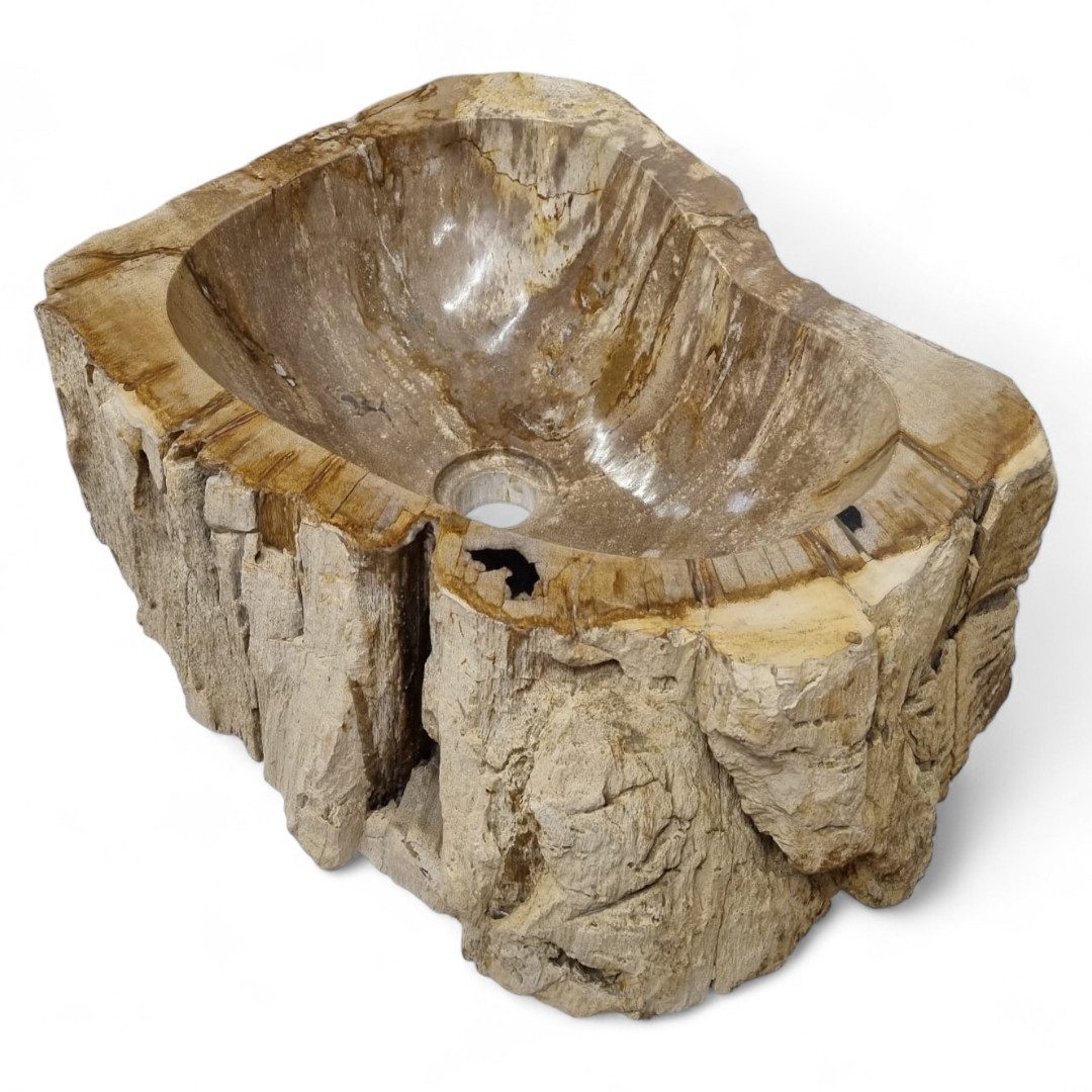 Kinaree Aufsatzwaschbecken Versteinertes Holz Раковины #30, Naturstein, versteinertes Holz, oval, beige, schwarz, Bruchstein