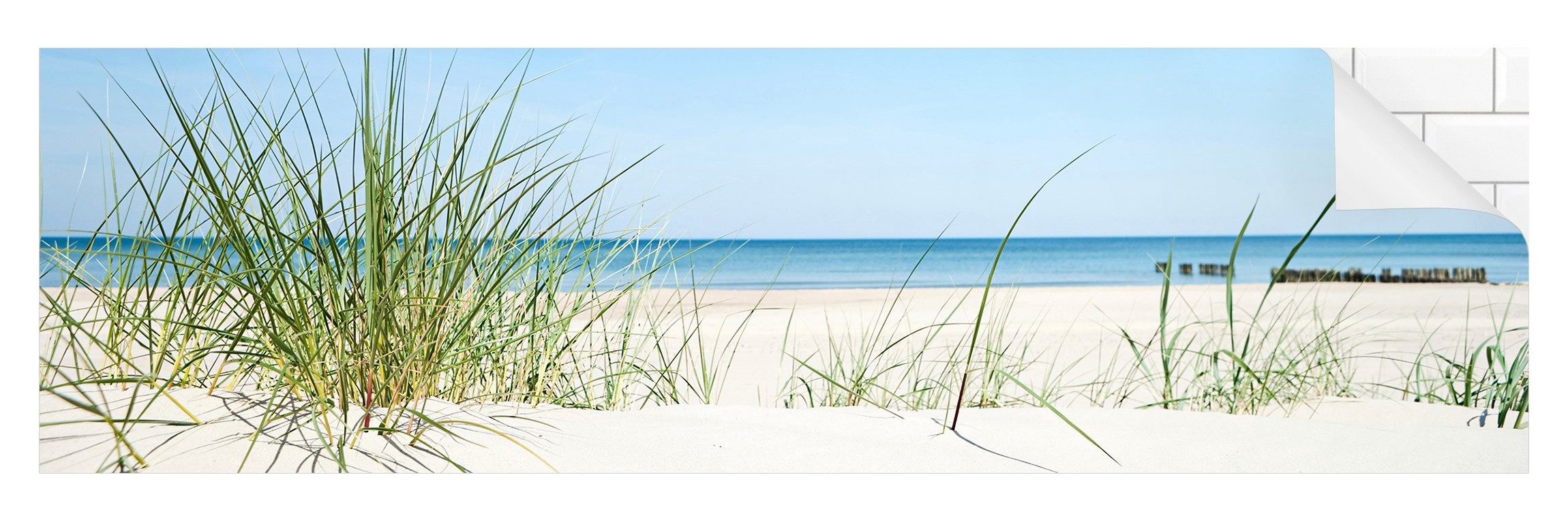 Bilderdepot24 Küchenrückwand blau dekor Natur Strand günstig online kaufen