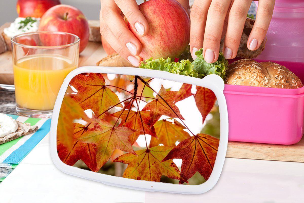 MuchoWow Lunchbox Herbstzweige - für rosa - Brotbox Erwachsene, - Blätter Brotdose (2-tlg), Kunststoff Kinder, Snackbox, Jahreszeiten Landleben, Kunststoff, Mädchen