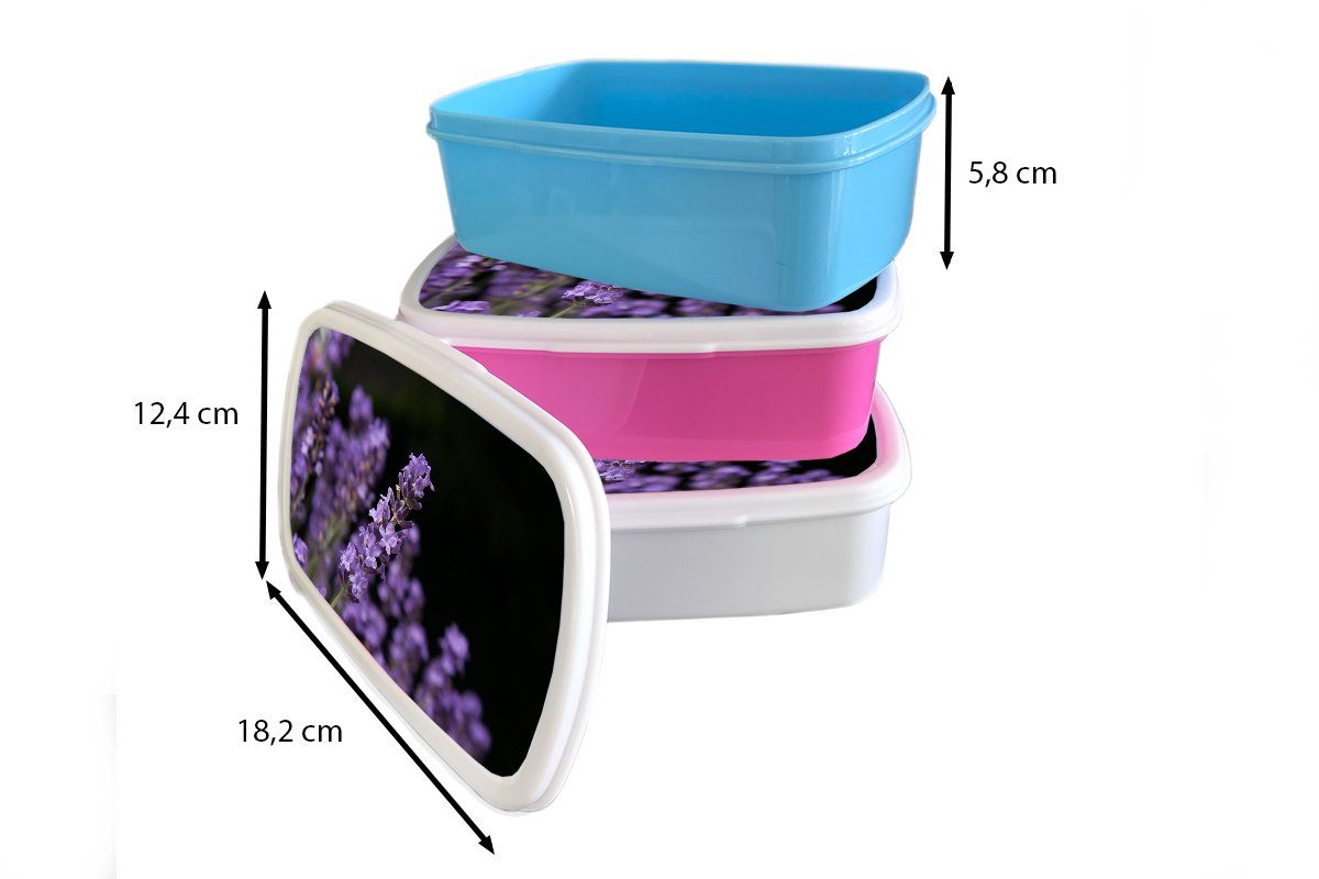 Erwachsene, Kunststoff Snackbox, Hintergrund, Brotdose Kunststoff, von lila Brotbox für rosa MuchoWow Lavendel Kinder, auf (2-tlg), Nahaufnahme Mädchen, schwarzem Lunchbox