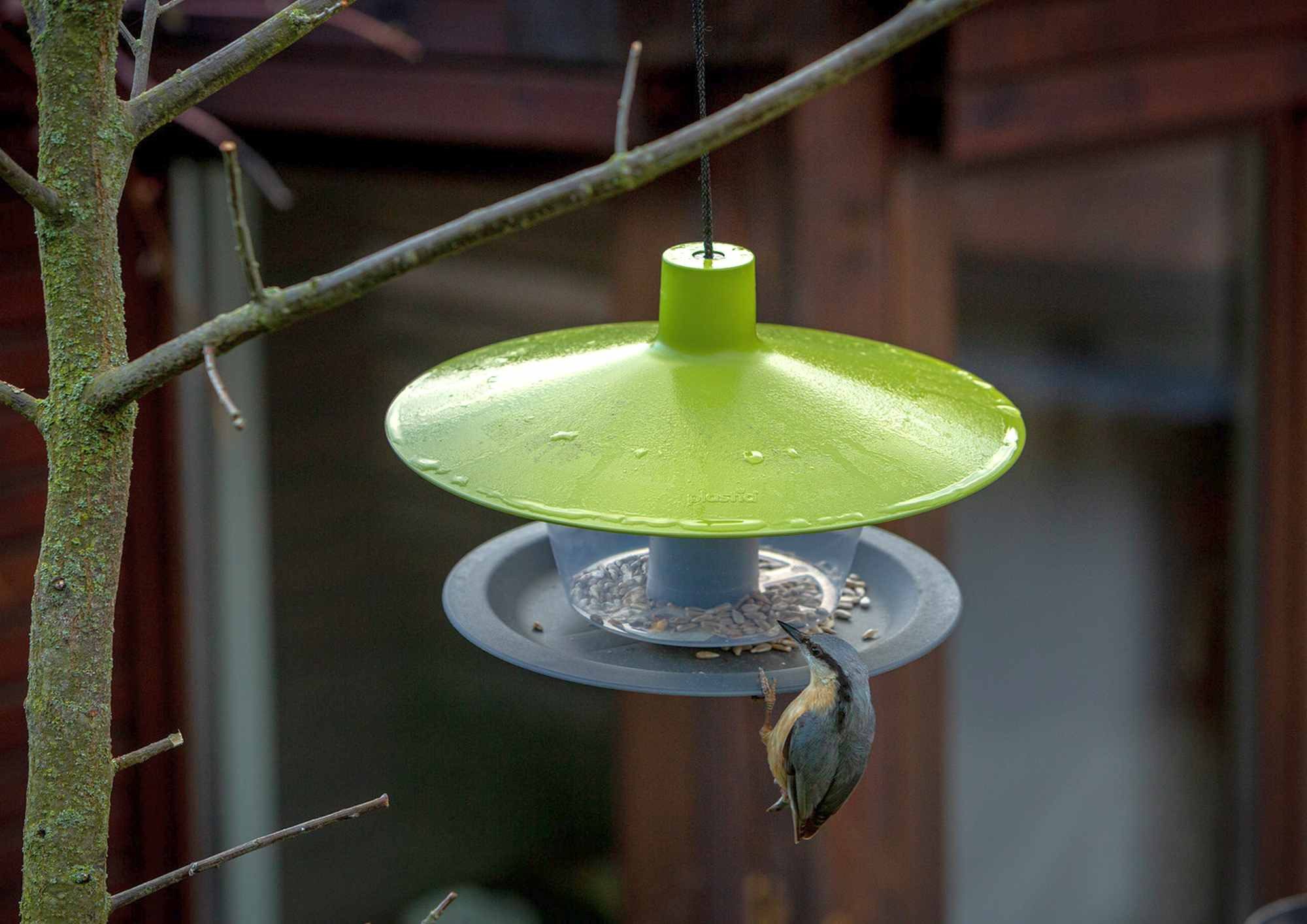 PLASTIA Vogelhaus Plastia Vogelfutterhaus Finch grün-grau günstig online kaufen