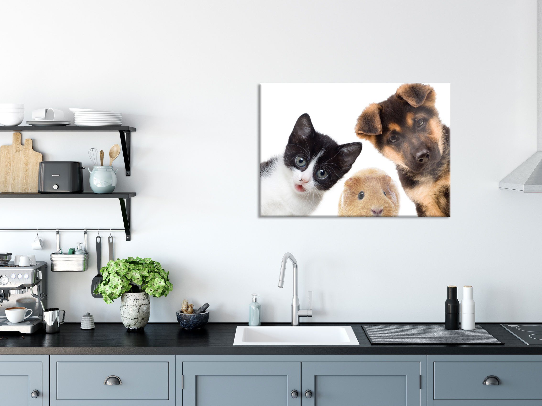 Abstandshalter aus Meerschwein Hund Glasbild St), Echtglas, Meerschwein, Aufhängungen Katze Trio Glasbild inkl. (1 Katze Hund Trio Pixxprint und