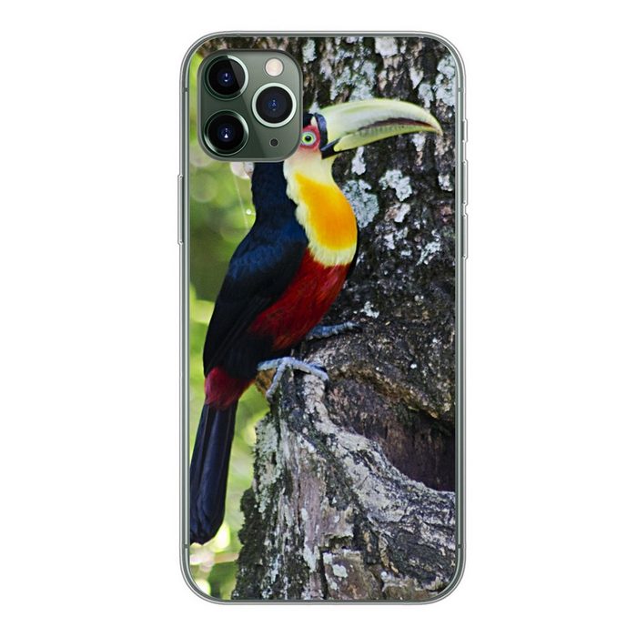 MuchoWow Handyhülle Ein Tukan schaut von einem Baum aus nach rechts Handyhülle Apple iPhone 11 Pro Max Smartphone-Bumper Print Handy
