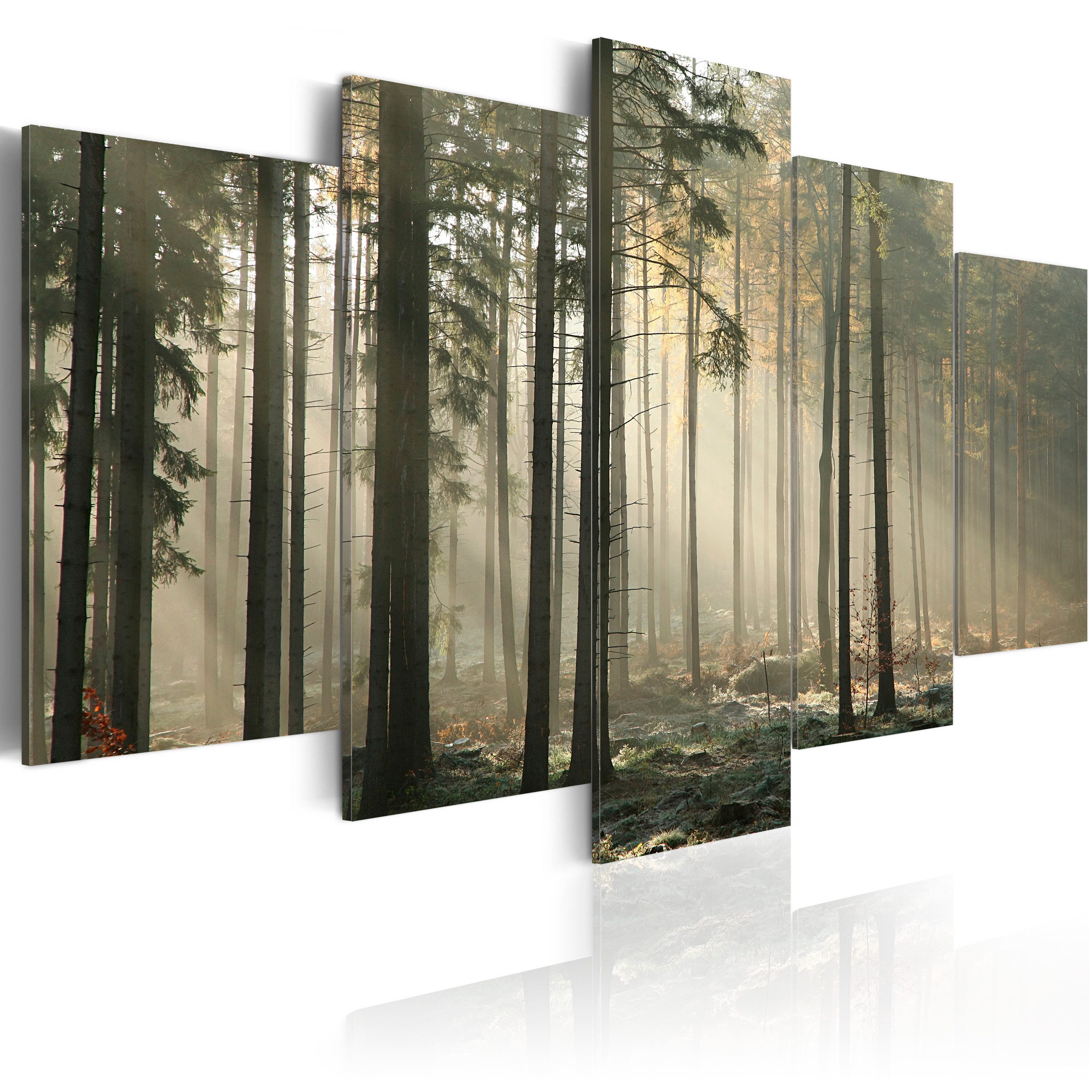 Artgeist Wandbild Lichtschimmer im dunklen Wald