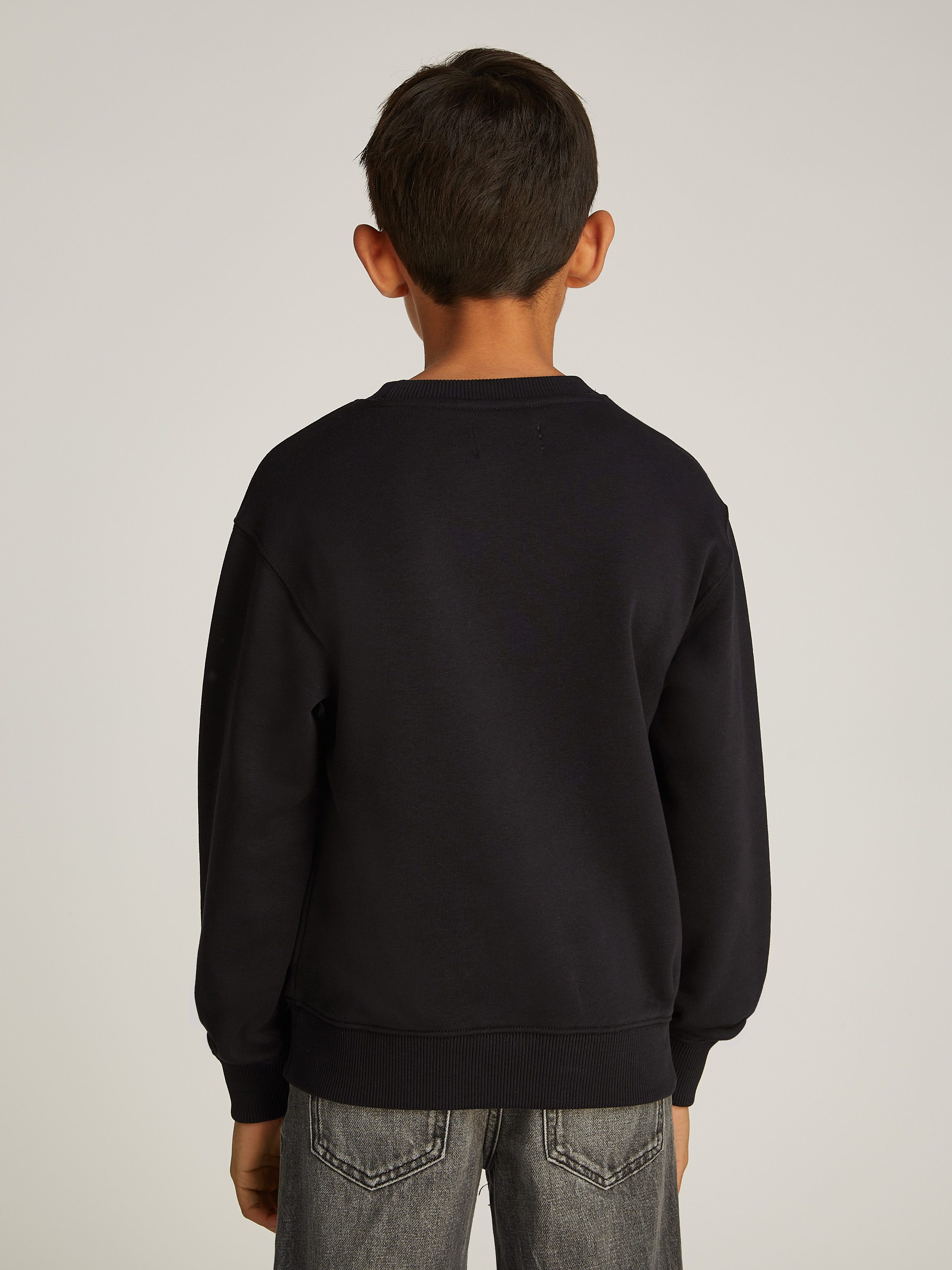 Calvin Klein Jeans Sweatshirt GRADIENT FLOCK günstig online kaufen