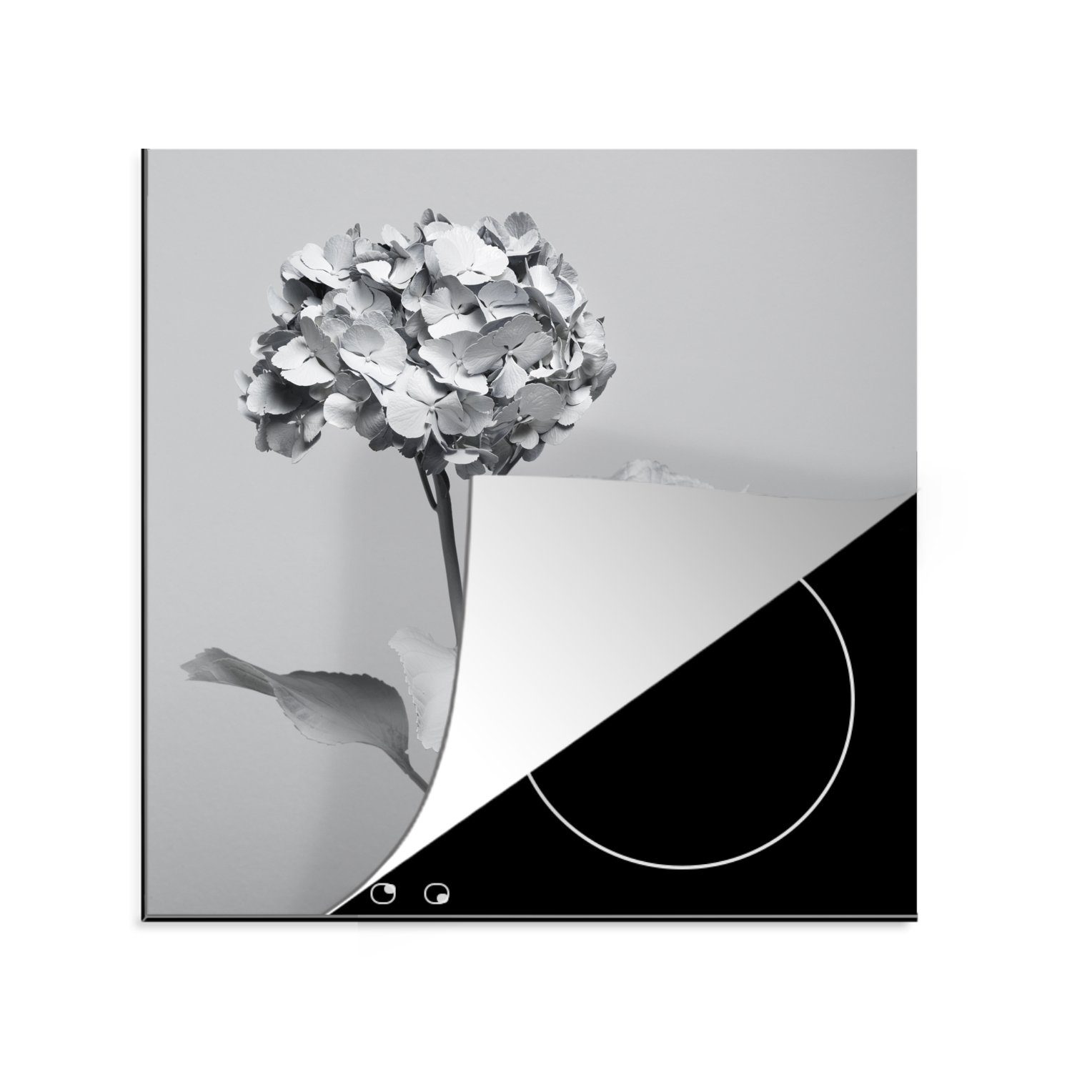 MuchoWow Herdblende-/Abdeckplatte Schwarze und weiße Hortensie, Vinyl, (1 tlg), 78x78 cm, Ceranfeldabdeckung, Arbeitsplatte für küche
