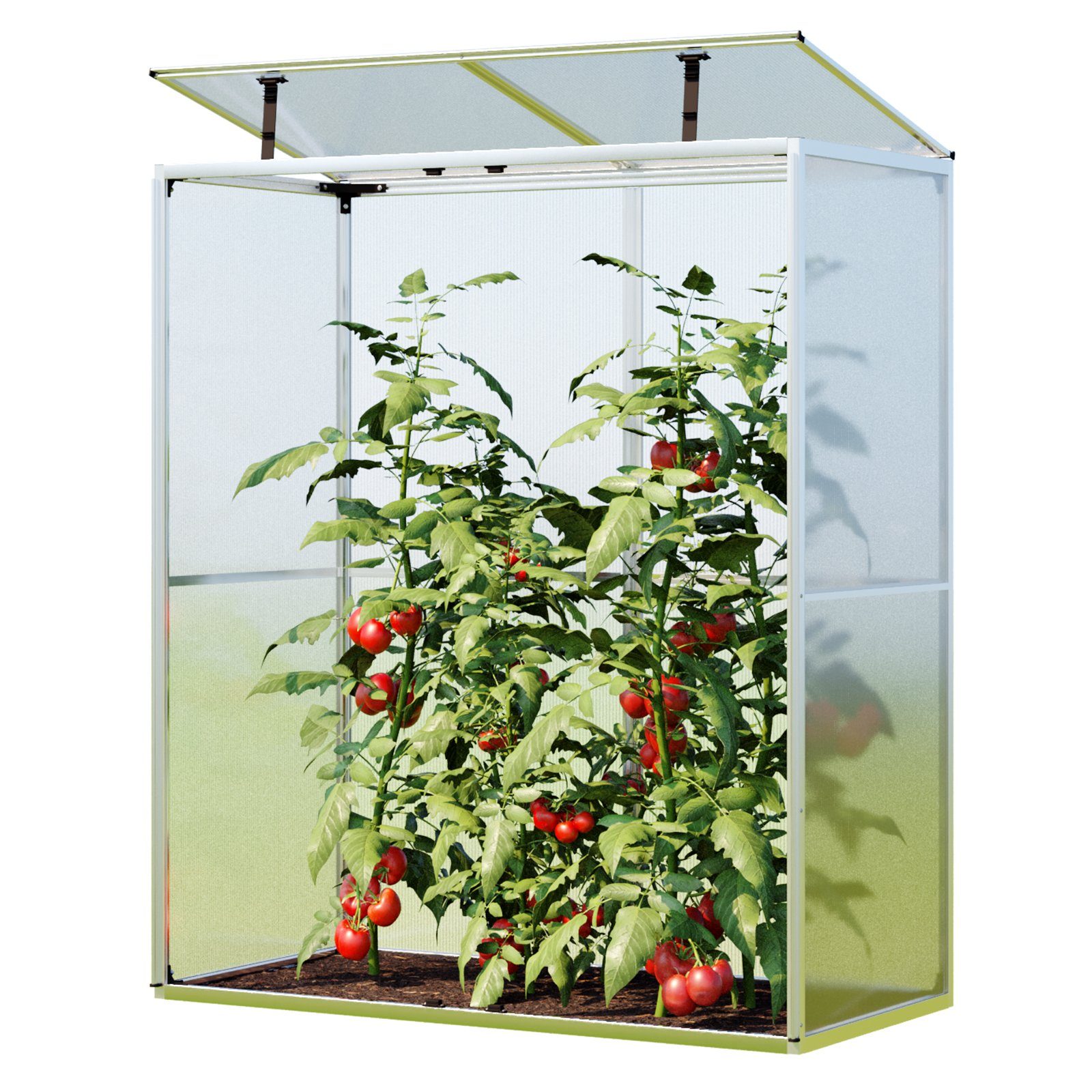 GFP Tomatengewächshaus Tomatenhaus Emma, 8 mm Wandstärke – Bild 5 von 5
