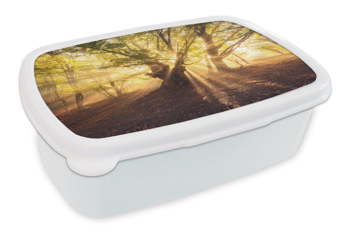 MuchoWow Lunchbox Baum - und Sonne, Mädchen Kunststoff, Brotbox für weiß Kinder Wald Jungs für und Brotdose, Erwachsene, (2-tlg), 