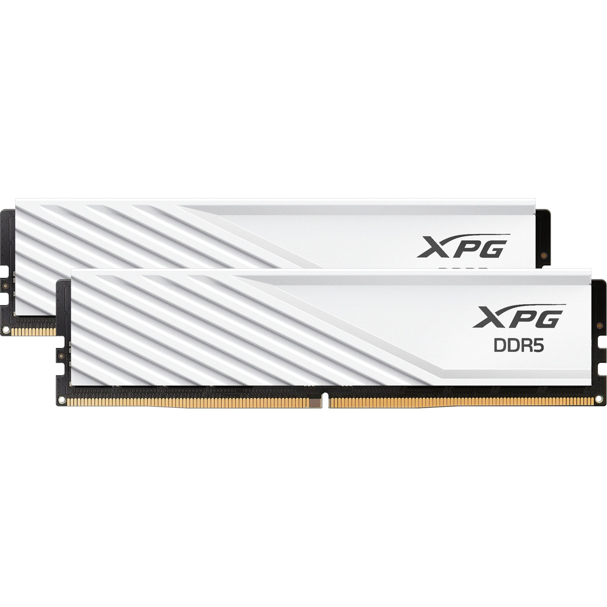 ADATA ADATA DIMM 32 GB DDR5-6000 (2x 16 GB) Dual-Kit, Arbeitsspeicher