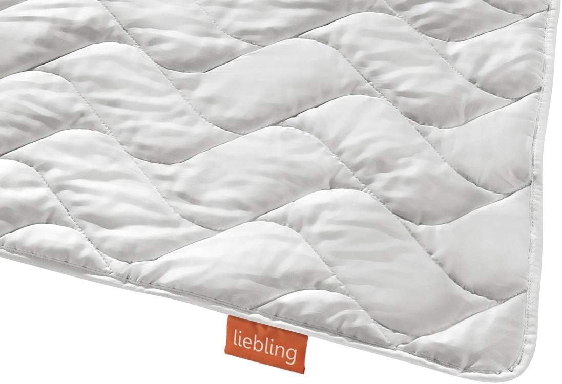 liebling Naturfaserbettdecke Wildseidendecke, Füllung: 100% Wildseide, Bezu günstig online kaufen