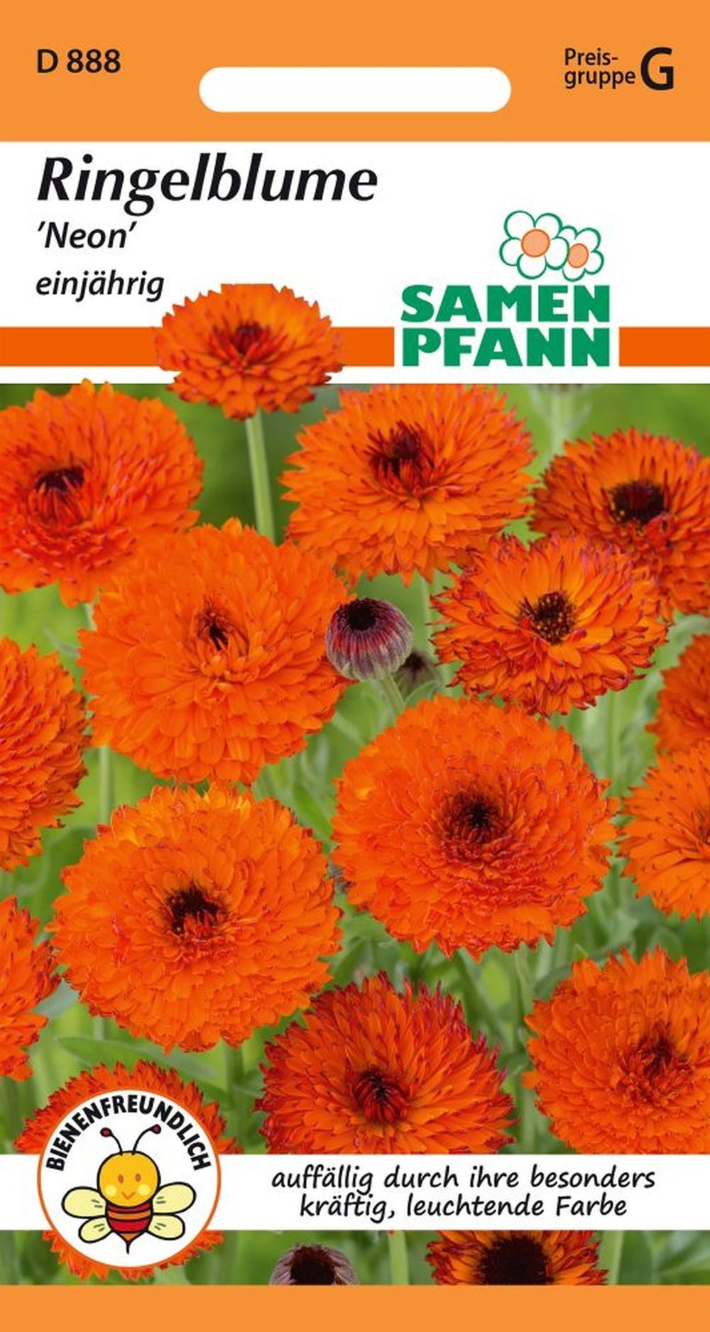 SAMEN PFANN Blumensamen Ringelblume, Neon - Ringelblume-Samen Saatgut Samen, Calendula officinalis