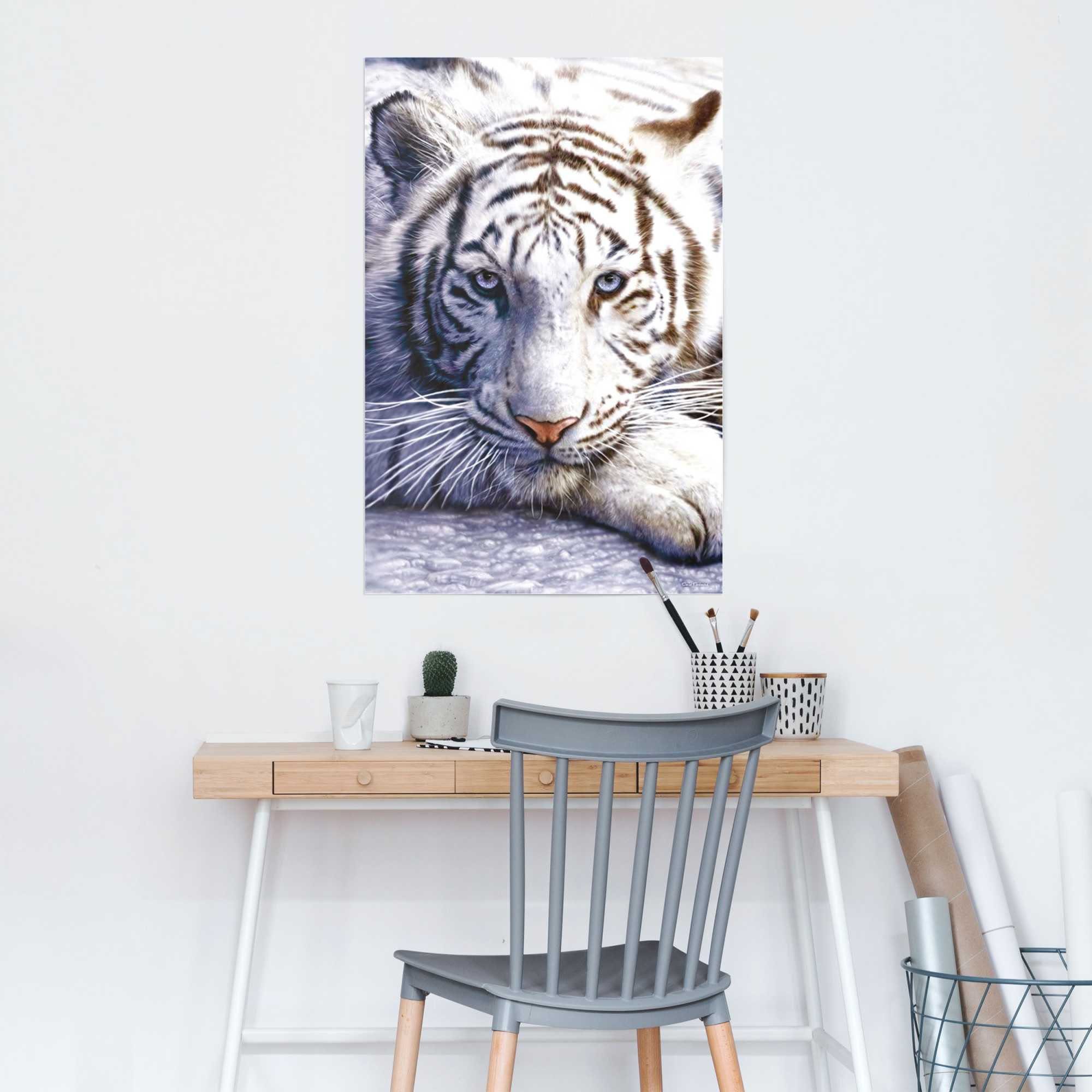 Weißer (1 Poster St) Tiger, Reinders!