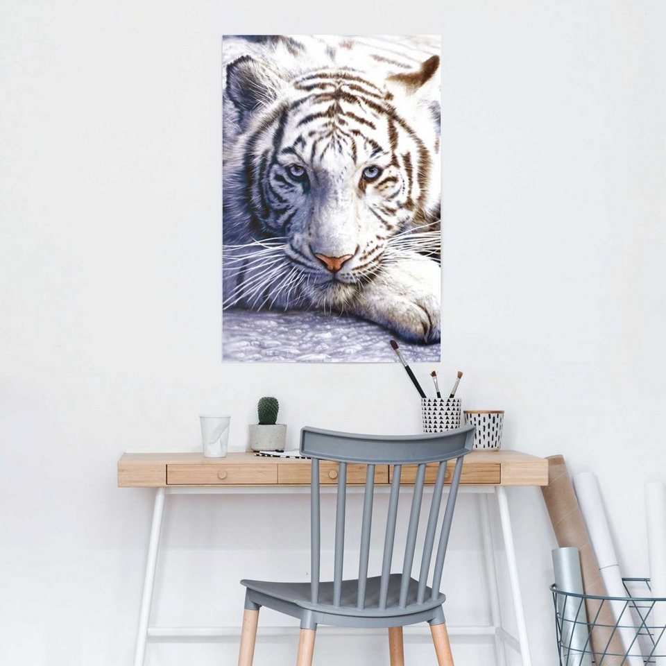 Tiger, (1 Reinders! Weißer St) Poster