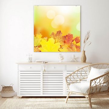 Primedeco Glasbild Wandbild Quadratisch Herbstblätter im Sonnenlicht mit Aufhängung, Natur
