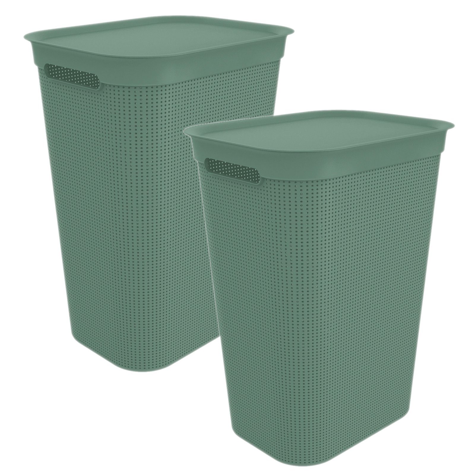 ROTHO Wäschekorb Brisen 2er-Set Wäschesammler 50l mit Deckel und 2 Griffen, Kunststoff (PP) BPA-frei Mistletoe grün