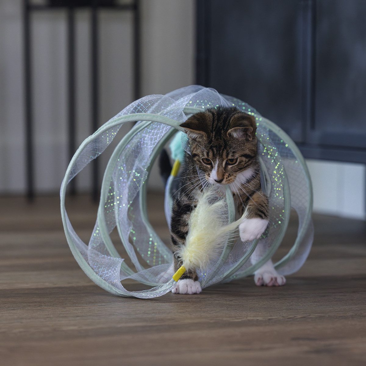 Beeztees Tier-Beschäftigungsspielzeug Kitten Katzenspielzeug Spielspirale Gabi