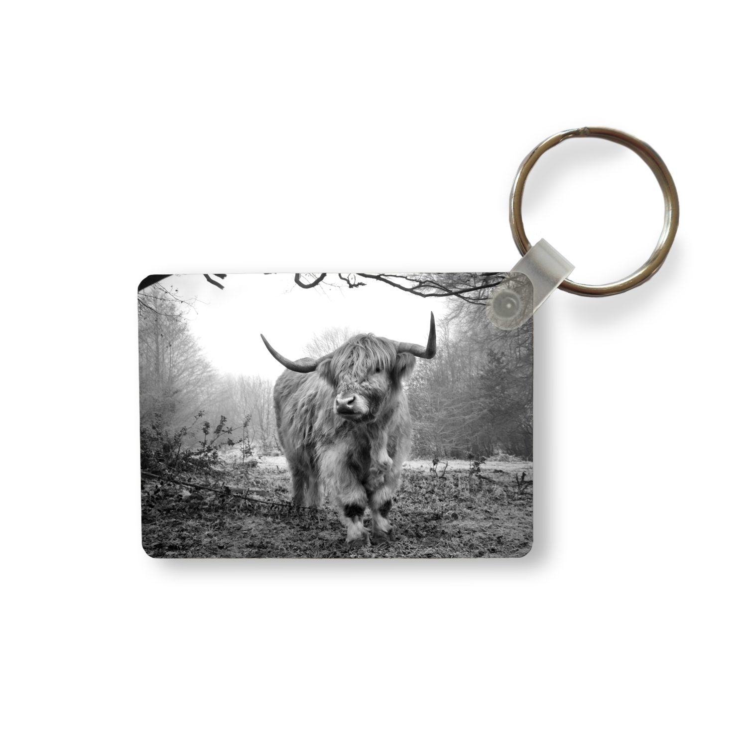 MuchoWow Schlüsselanhänger Schottischer Highlander - Wald - Nebel - Kuh - Tiere - Natur, Rechteckig mit Schlüsselring, Geschenk, Accessoire, 6x4 cm