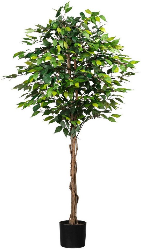 Kunstpflanze Ficus Benjamini, Creativ green, Höhe 180 cm, Dauerhaft schön  und täuschend echt