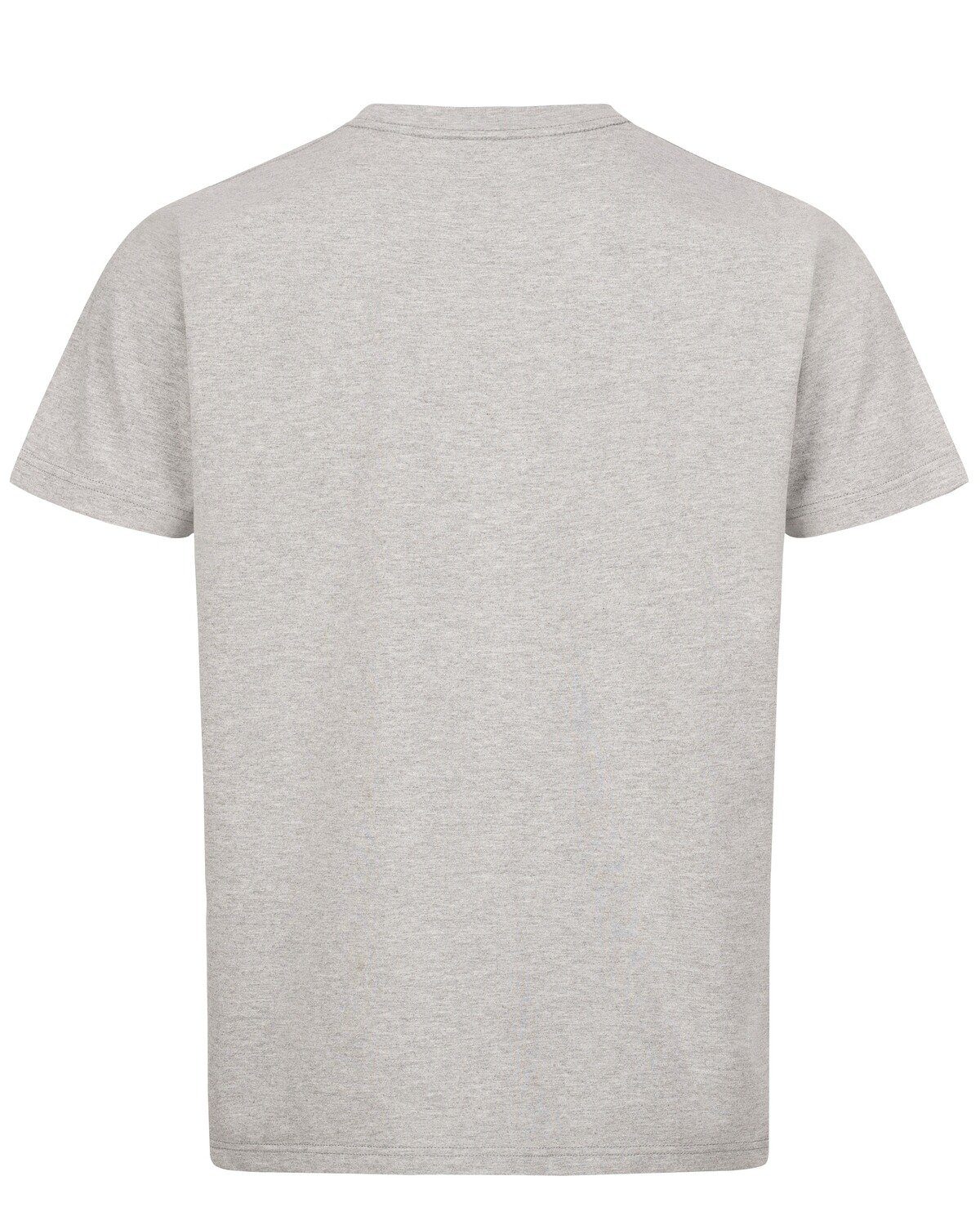 Blaser T-Shirt T-Shirt Allgäu Mountain Print