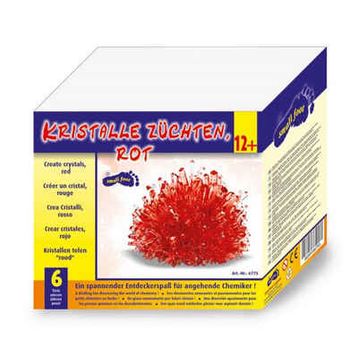 LeNoSa Lernspielzeug Experimentierkasten • Kristalle selber züchten (rot) (6-St)