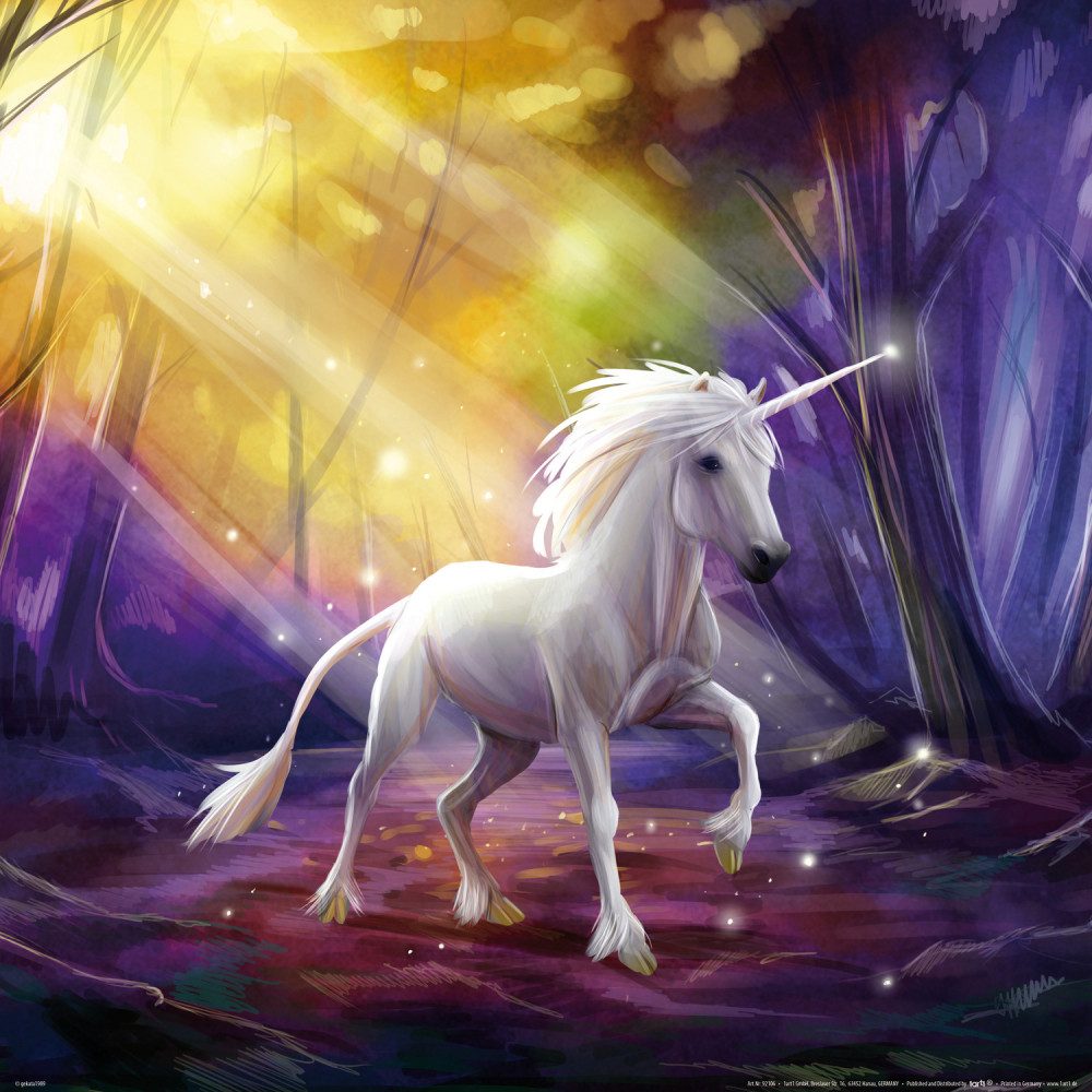 1art1 Poster Einhörner Kunstdruck Bild - Das Einhorn Im Zauberwald (40 x 40 cm)