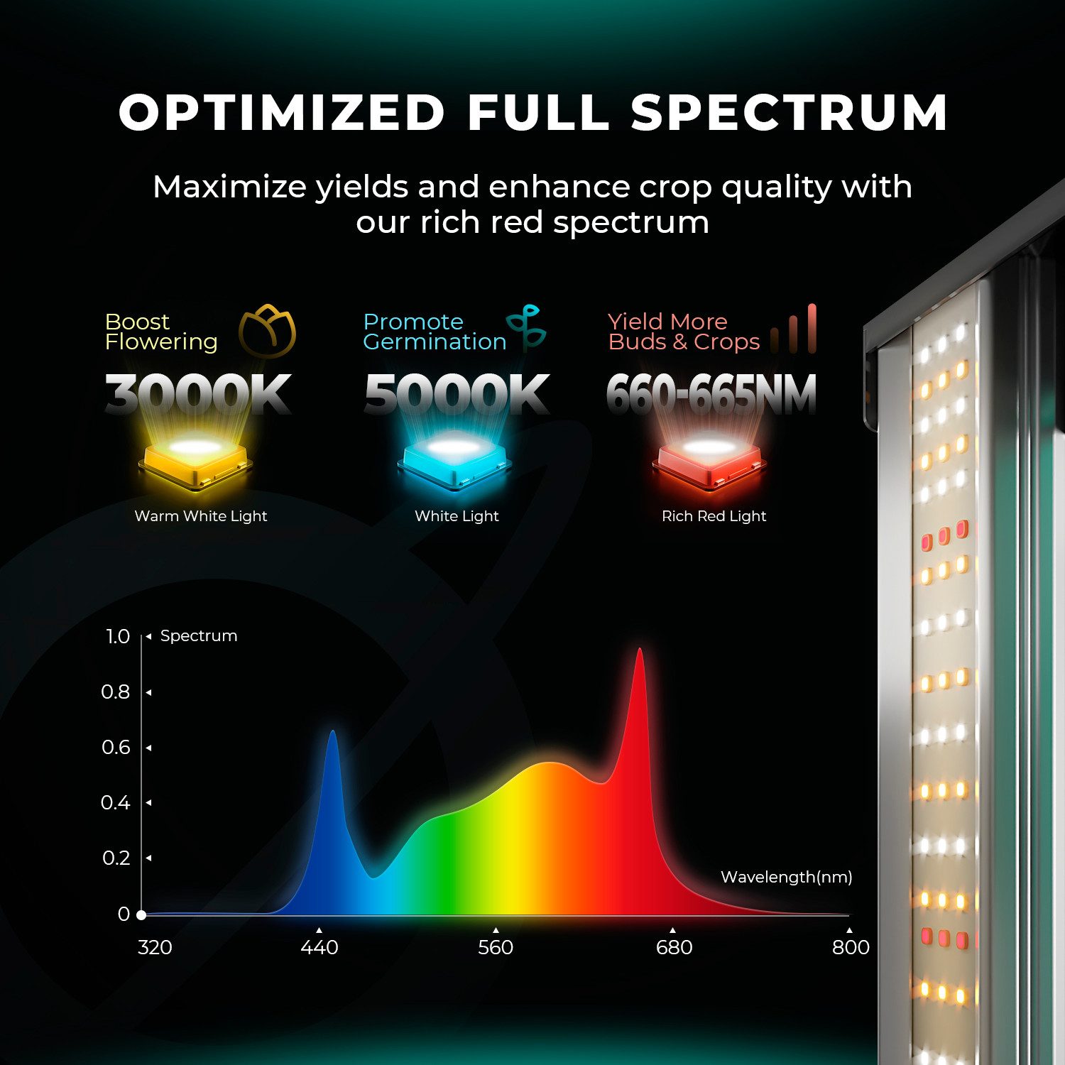 Mars Hydro Pflanzenlampe Mars Hydro FC-Serie Serie LED Growlampe, LED fest integriert, FC3000 EVO LED Lampe mit Vollspektrum 300W