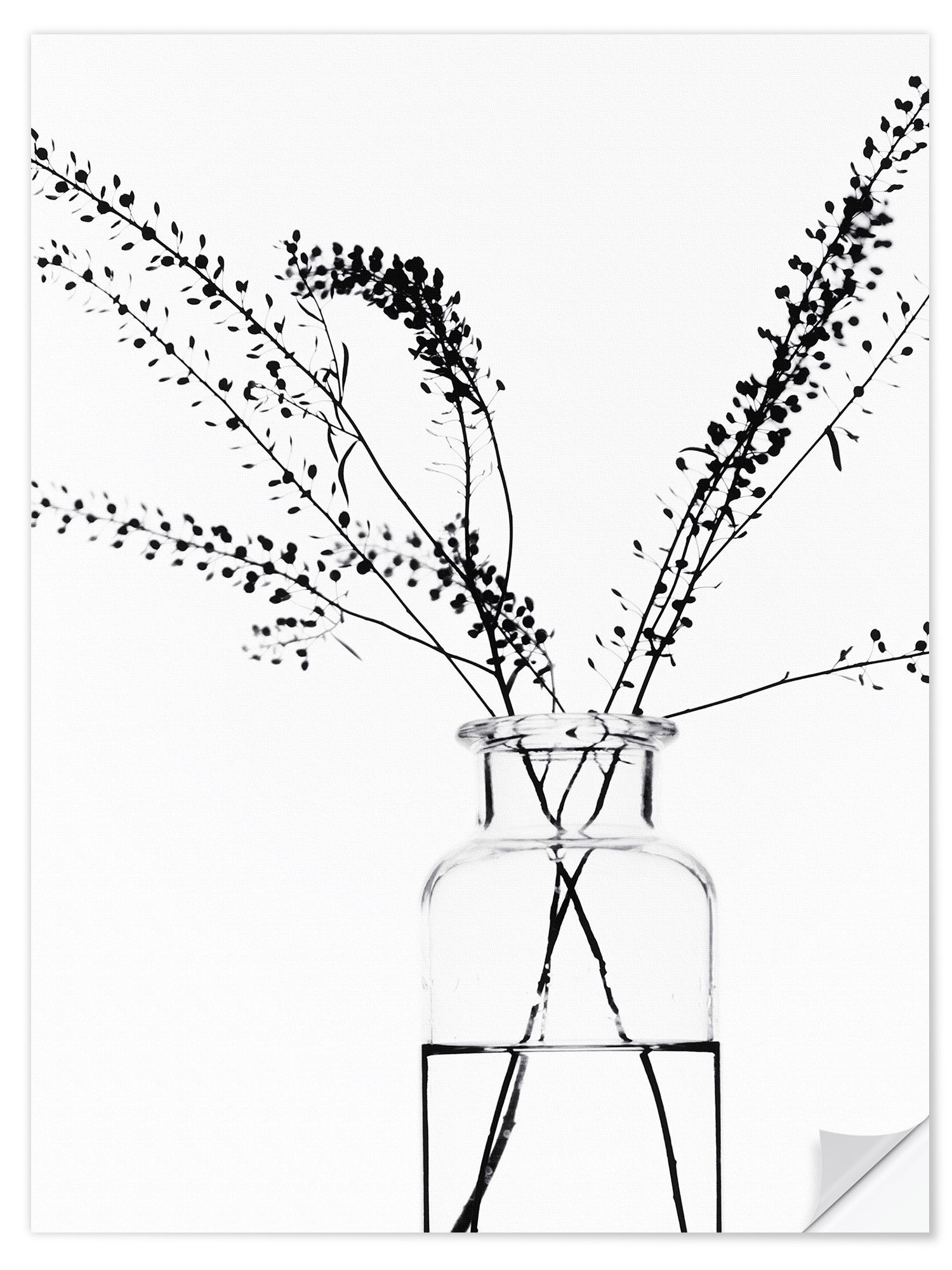 Posterlounge Wandbild Glasvase mit Zweigen I, Magda Izzard, erhältlich als Poster, Leinwandbild, Wandsticker oder Acrylglasbild
