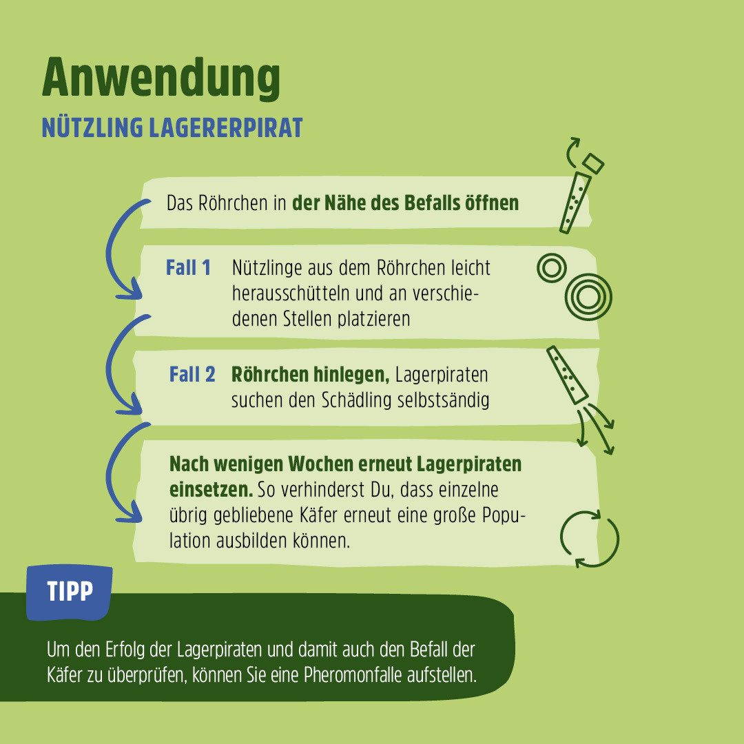 Futura-Shop Schlupfwespen Nützling Lagerpiraten gegen Speckkäfer, Khaprakäfer und Reismehlkäfer, 100% Biologisch