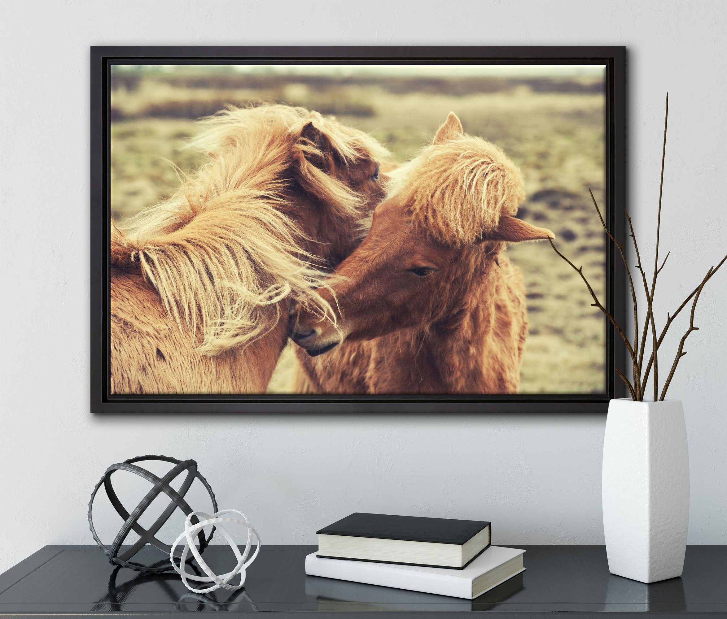 gefasst, Pixxprint Zackenaufhänger (1 St), Islandpferde Pony, Leinwandbild in inkl. Leinwandbild fertig Schattenfugen-Bilderrahmen einem bespannt, Wanddekoration