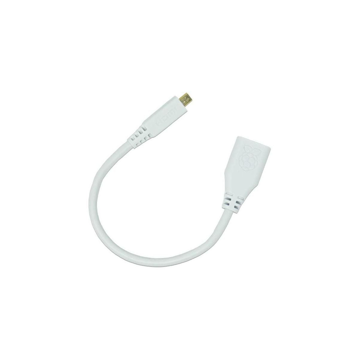 Raspberry Pi Foundation EB6927 - Micro-HDMI zu HDMI AF Adapterkabel Weiß HDMI-Kabel, HDMI micro, HDMI (23,00 cm)
