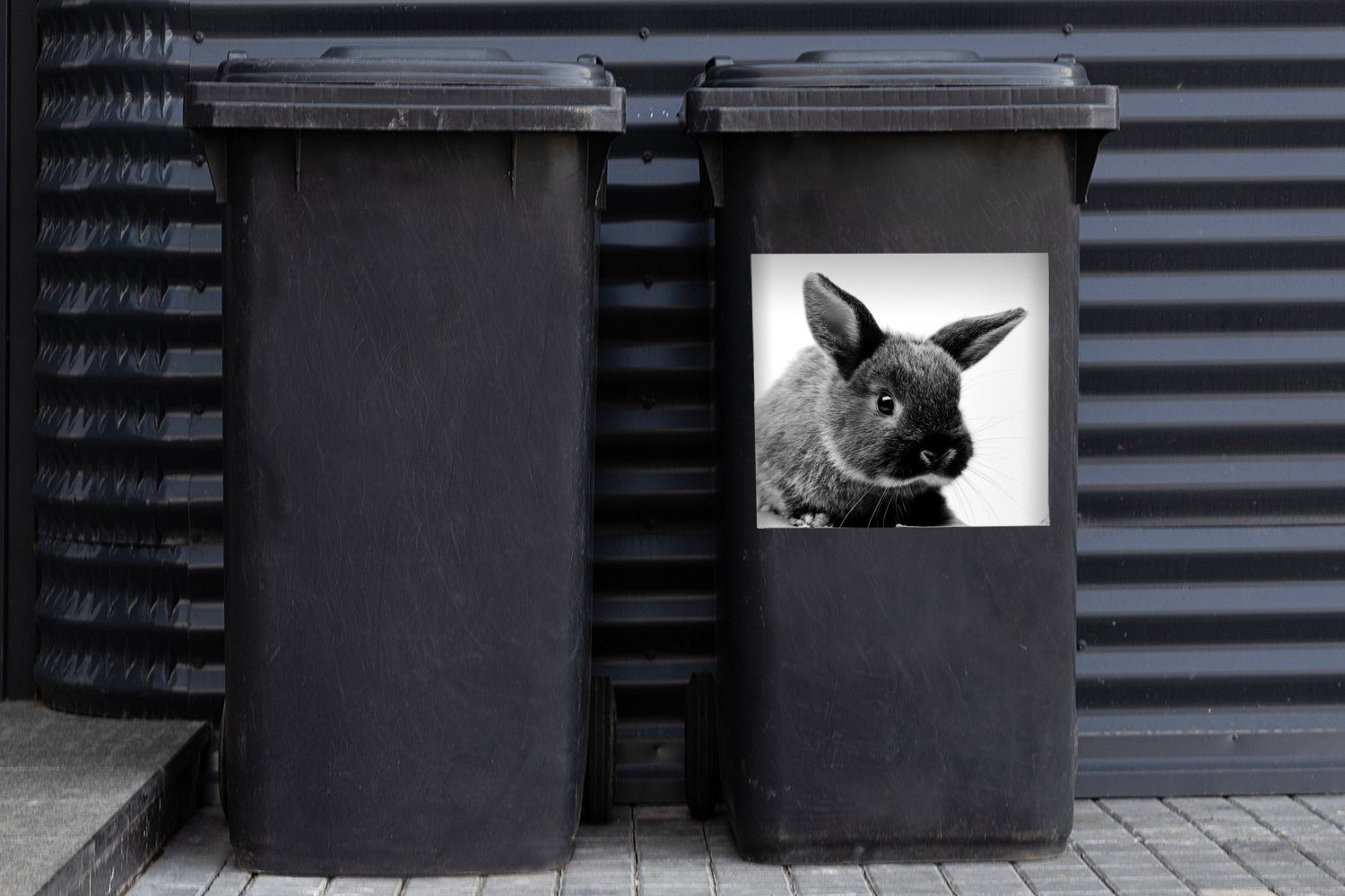 Kaninchens St), Container, schwarz MuchoWow (1 - eines und Wandsticker Mülltonne, Mülleimer-aufkleber, weiß Abfalbehälter Sticker, Porträt