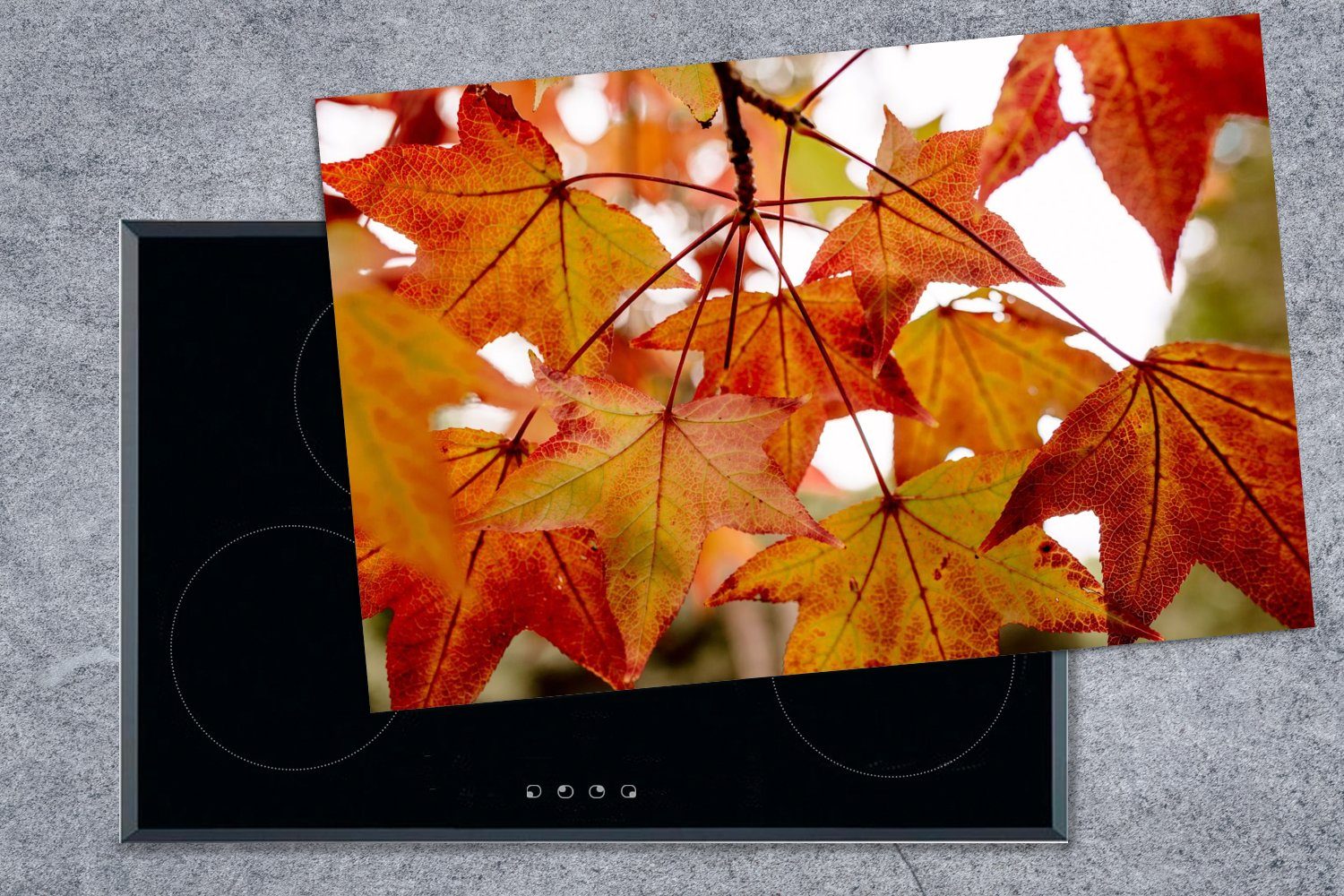 80x52 - Vinyl, Blätter - Jahreszeiten Schutz cm, Ceranfeldabdeckung (1 Herbstzweige küche, die Induktionskochfeld Landleben, tlg), - für MuchoWow Herdblende-/Abdeckplatte