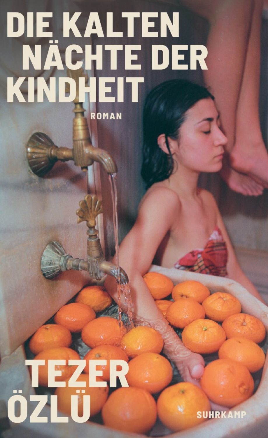 Die kalten Nächte der Kindheit / Tezer Özlü