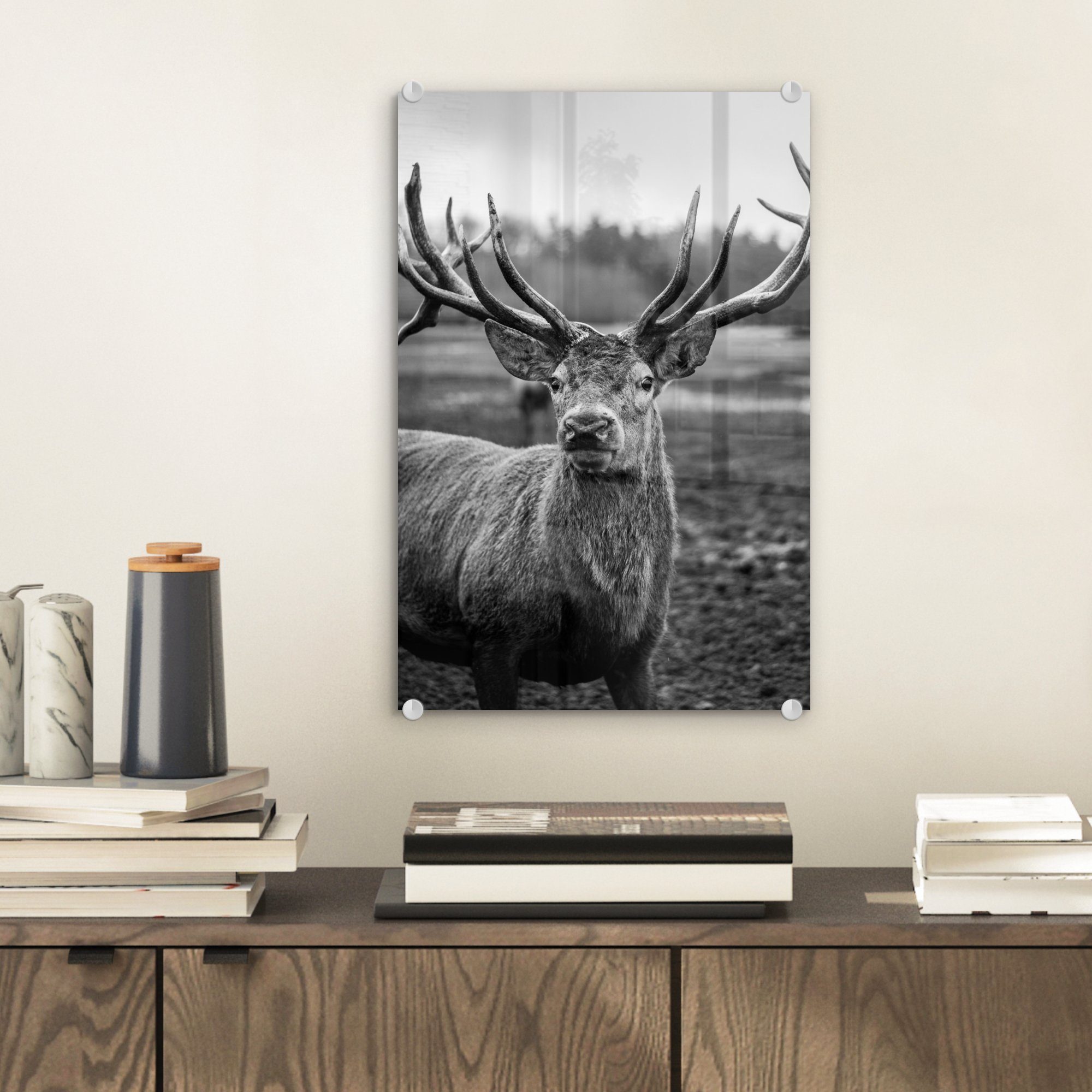 MuchoWow Acrylglasbild Tiere - Hirsch - günstig online kaufen