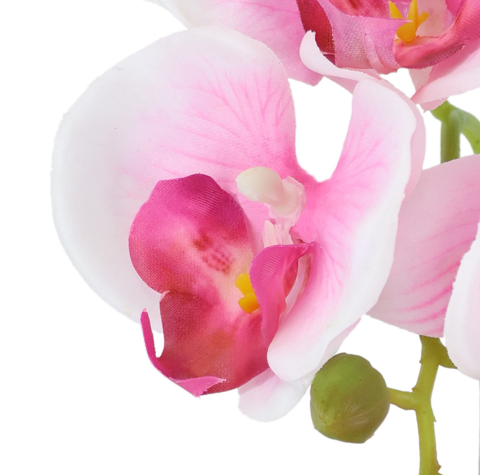 Kunstorchidee Orchidee im Topf 2er Set, I.GE.A., Höhe 30 cm, Künstliche Pha günstig online kaufen