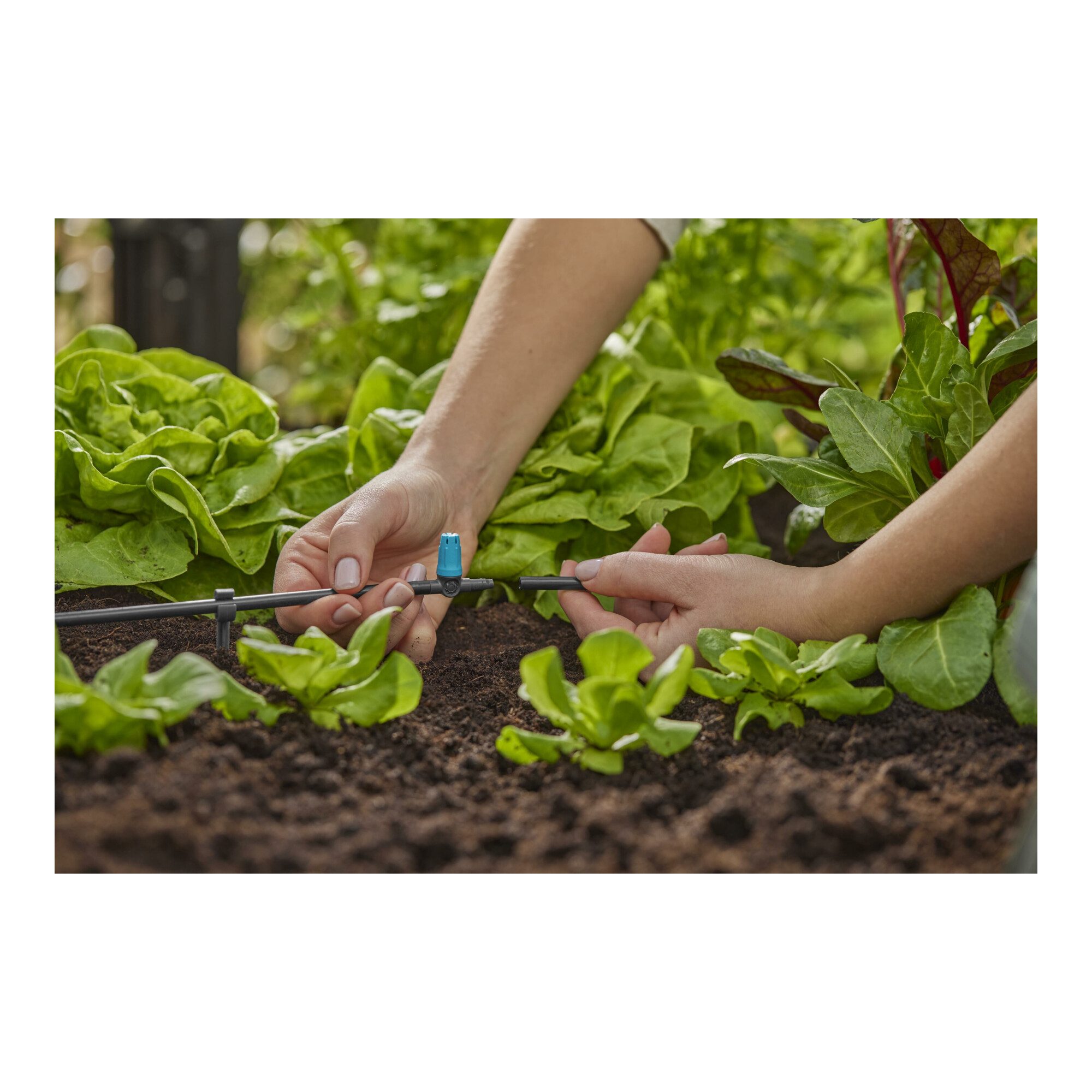 GARDENA Bewässerungssystem Gardena Micro-Drip-System Kleinflächendüse - Inhalt: 10 Kleinflächendü