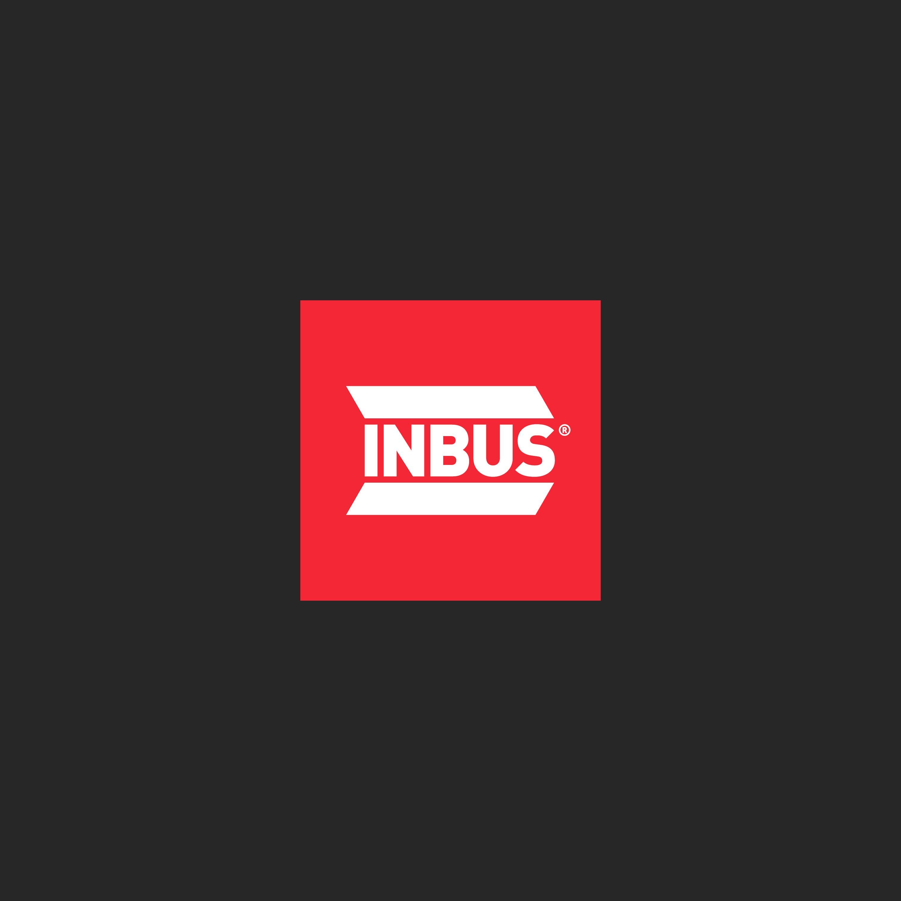 INBUS Innensechskantschlüssel mit Ausführung Innensechskant Kugelkopf & lange Inbusschlüssel, 1,5 - 12mm Sechskantschlüssel 