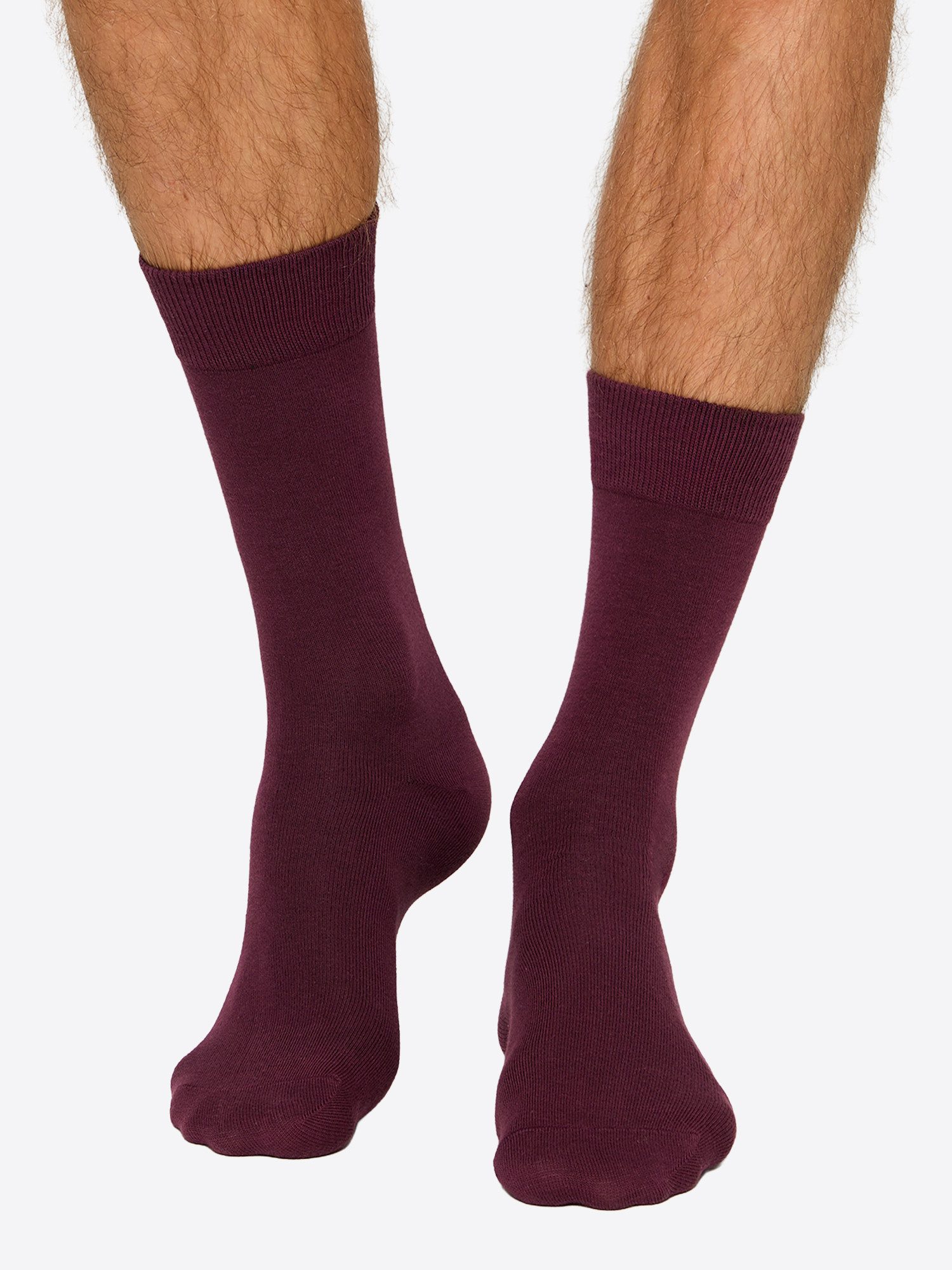 Nur Die Basicsocken Baumwolle Business Pack (2-Paar) Socken, Baumwollsocken, Alltagsocken