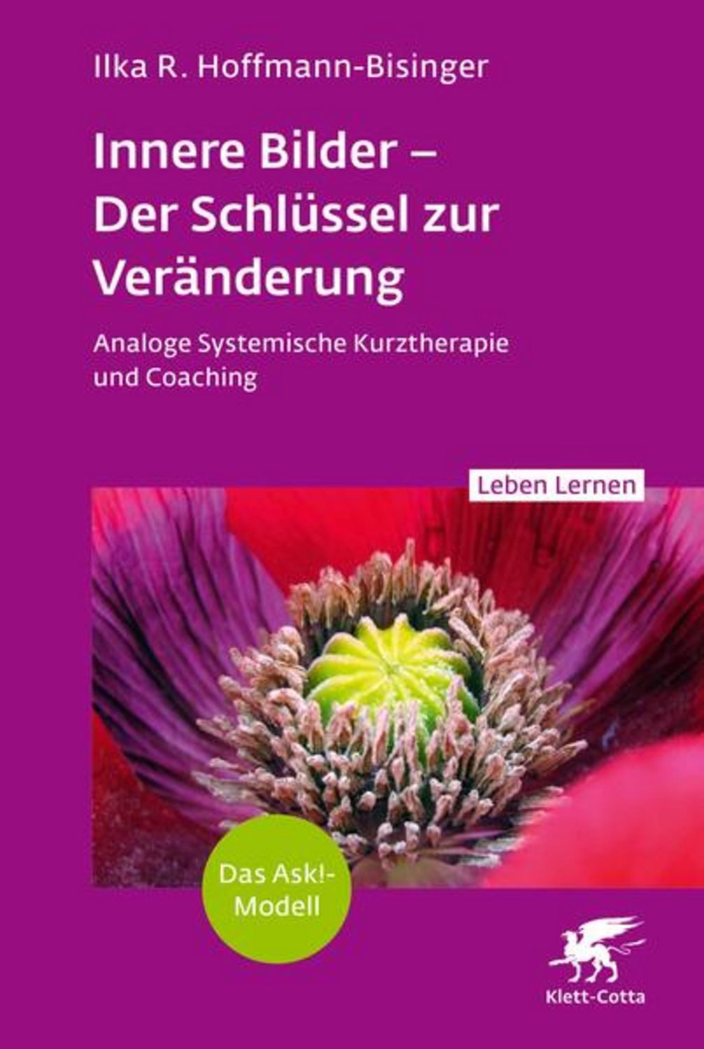 Innere Bilder – Der Schlüssel zur Veränderung (Leben Lernen, Bd. 343) / Ilka R. Hoffmann-Bisinger