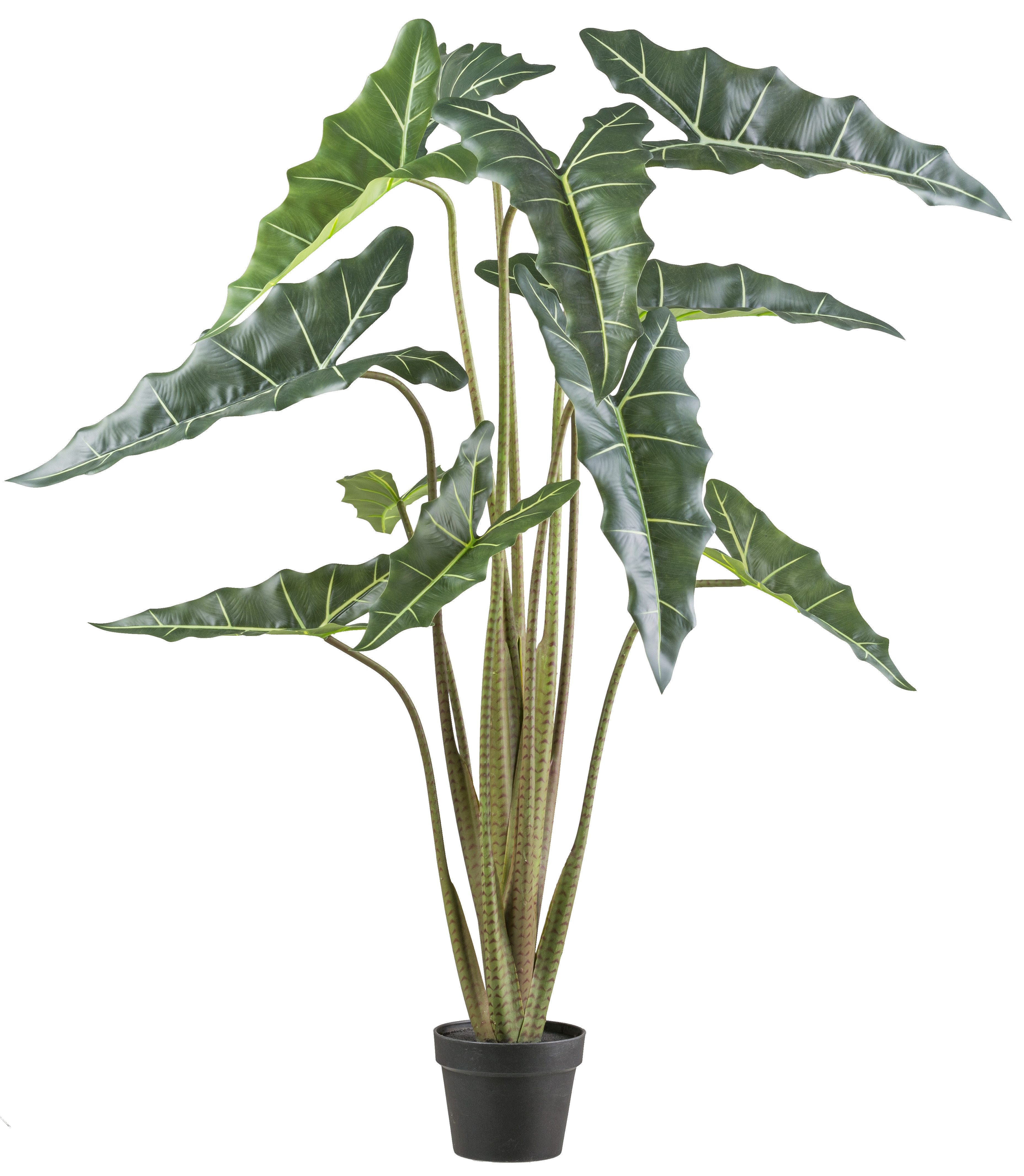 Kunstpflanze Alocasia zebrina sarian, Creativ green, Höhe 130 cm, mit gestreiftem Stamm