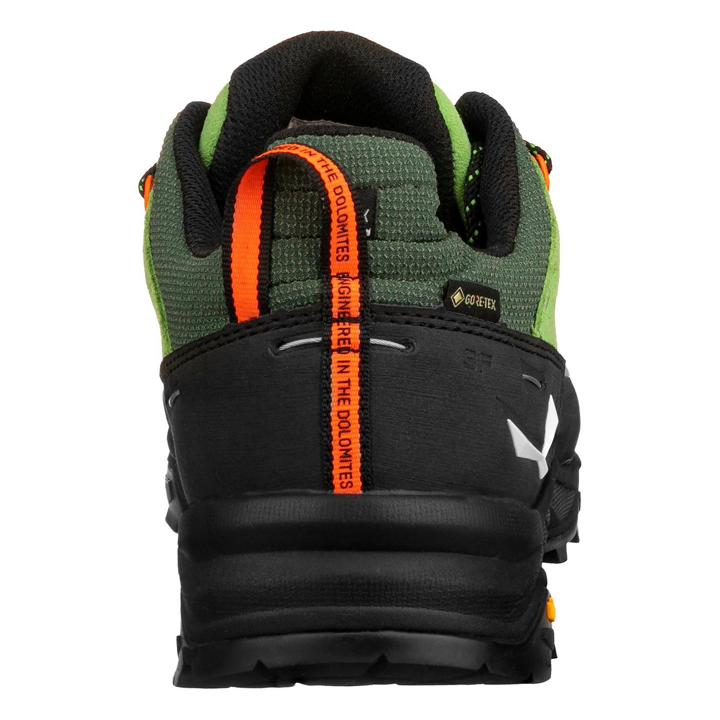 Salewa Alp Trainer 2 GTX (Alpine, günstig online kaufen