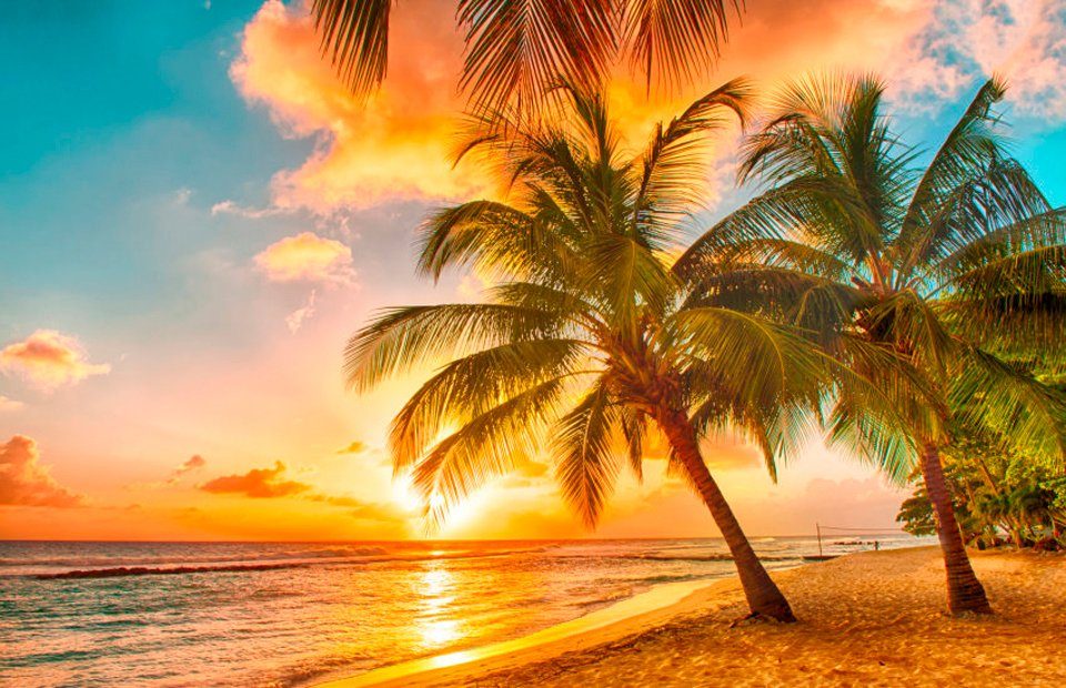 Papermoon Fototapete »Barbados Palm Beach«, glatt-Otto