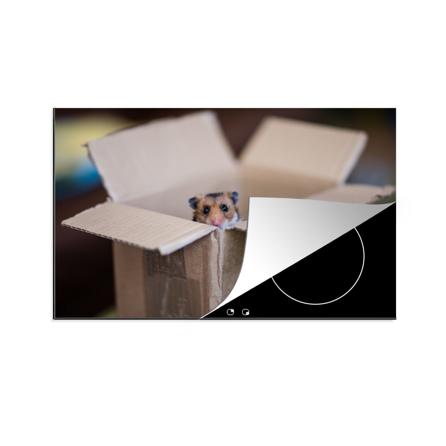 MuchoWow Herdblende-/Abdeckplatte Hamster entsteigt einer Pappschachtel, Vinyl, (1 tlg), 81x52 cm, Induktionskochfeld Schutz für die küche, Ceranfeldabdeckung