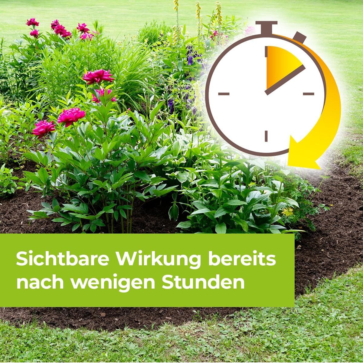 PROTECT GARDEN ® Turboclean Weed Free, 1000 Ml IL - Foto 7